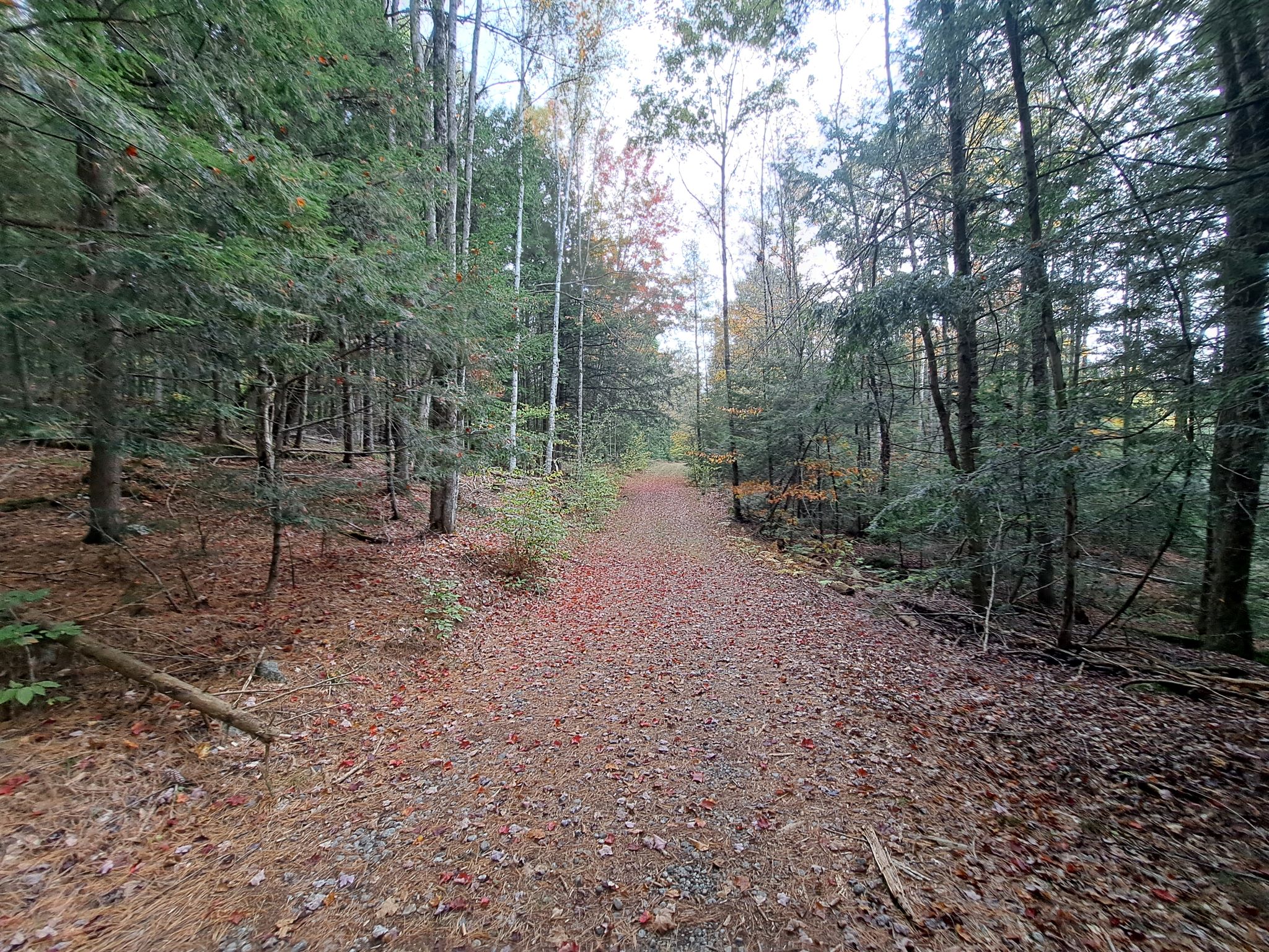 Hudson River Woods & Water