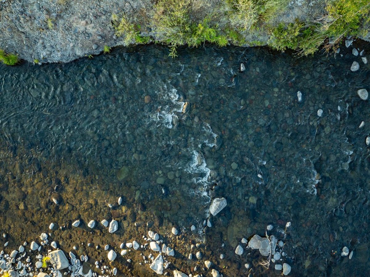 Listing Image 93