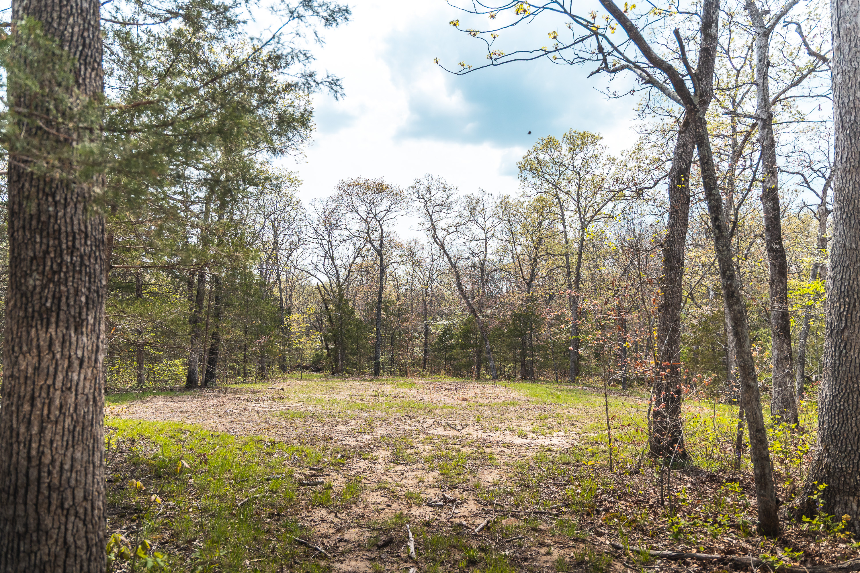 Buck Nest 32