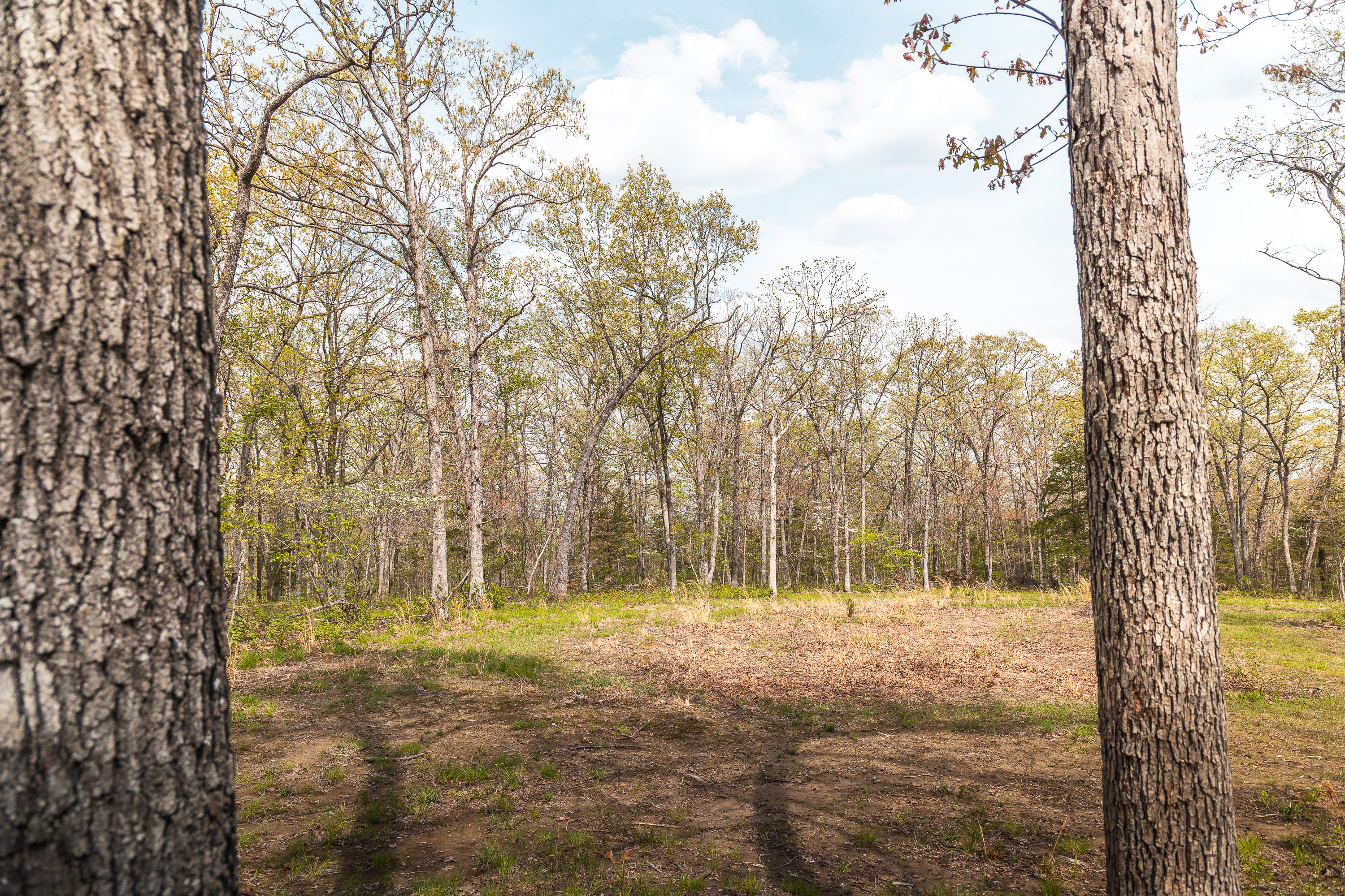 Buck Nest 32