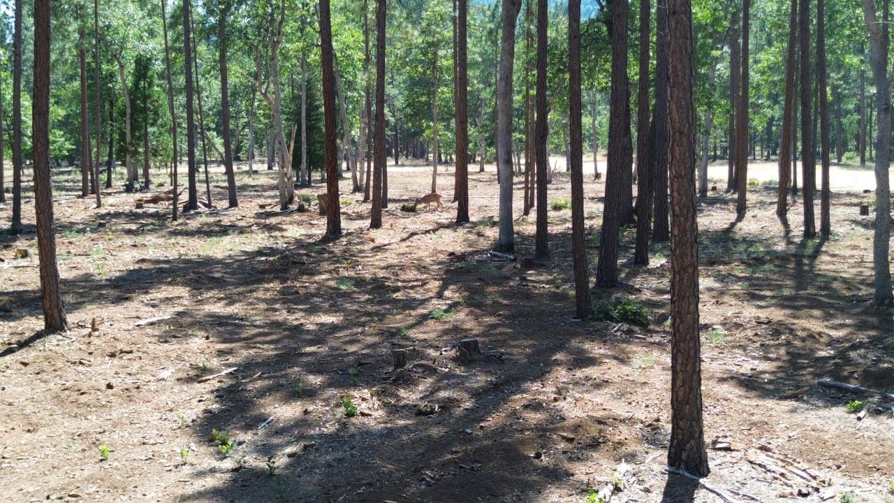 Listing Image 18