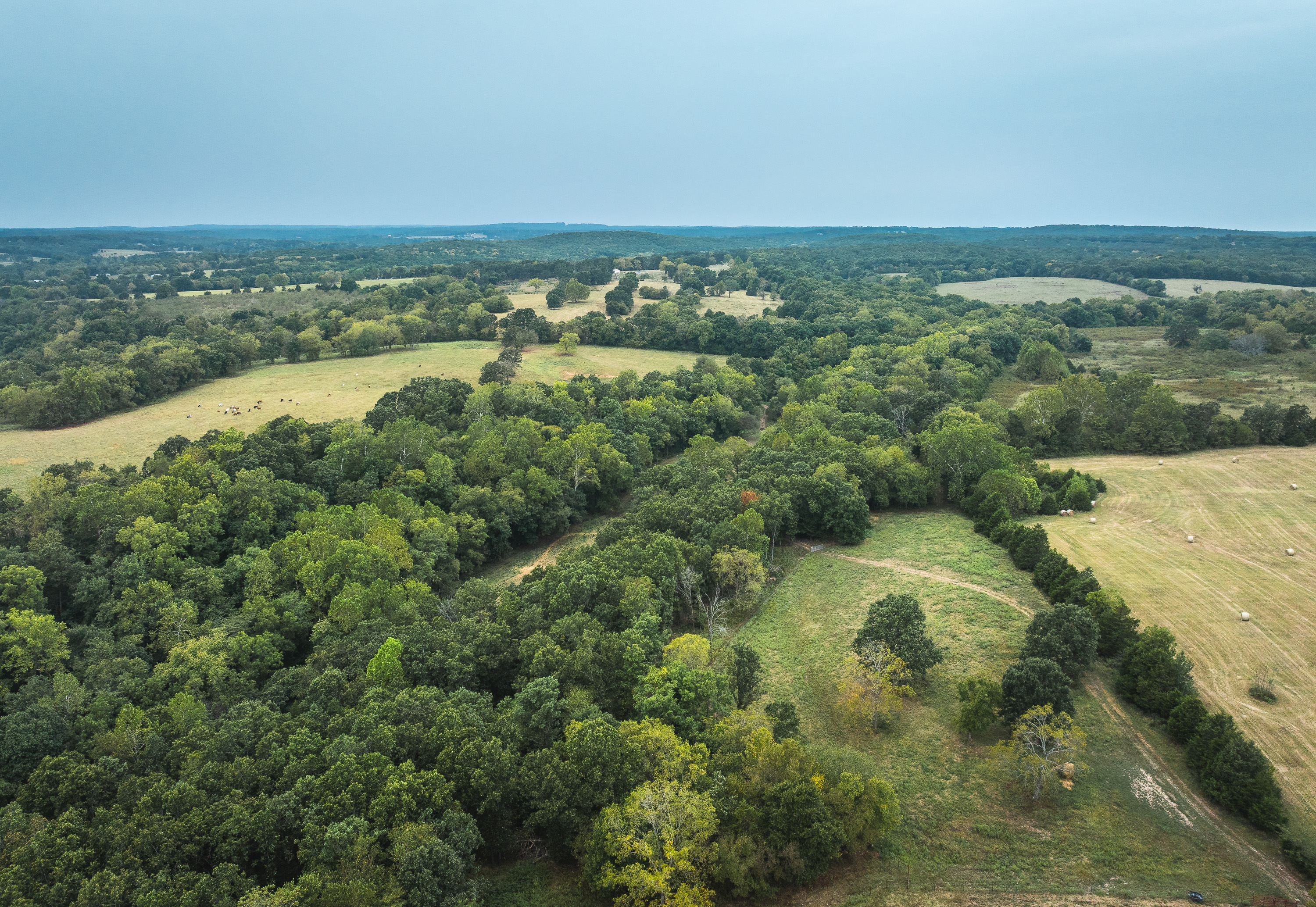 Twin Creek Farm
