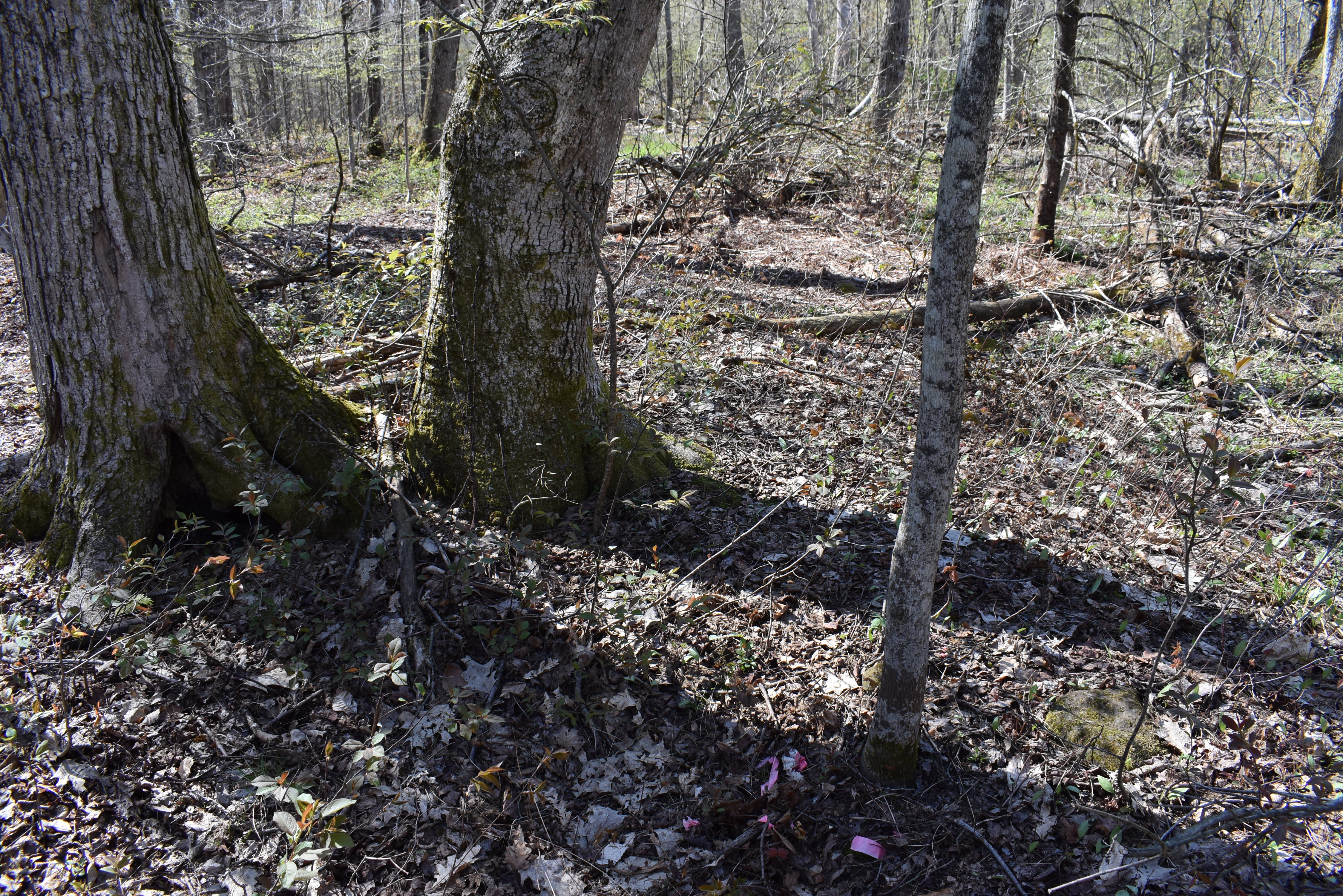 Listing Image 48