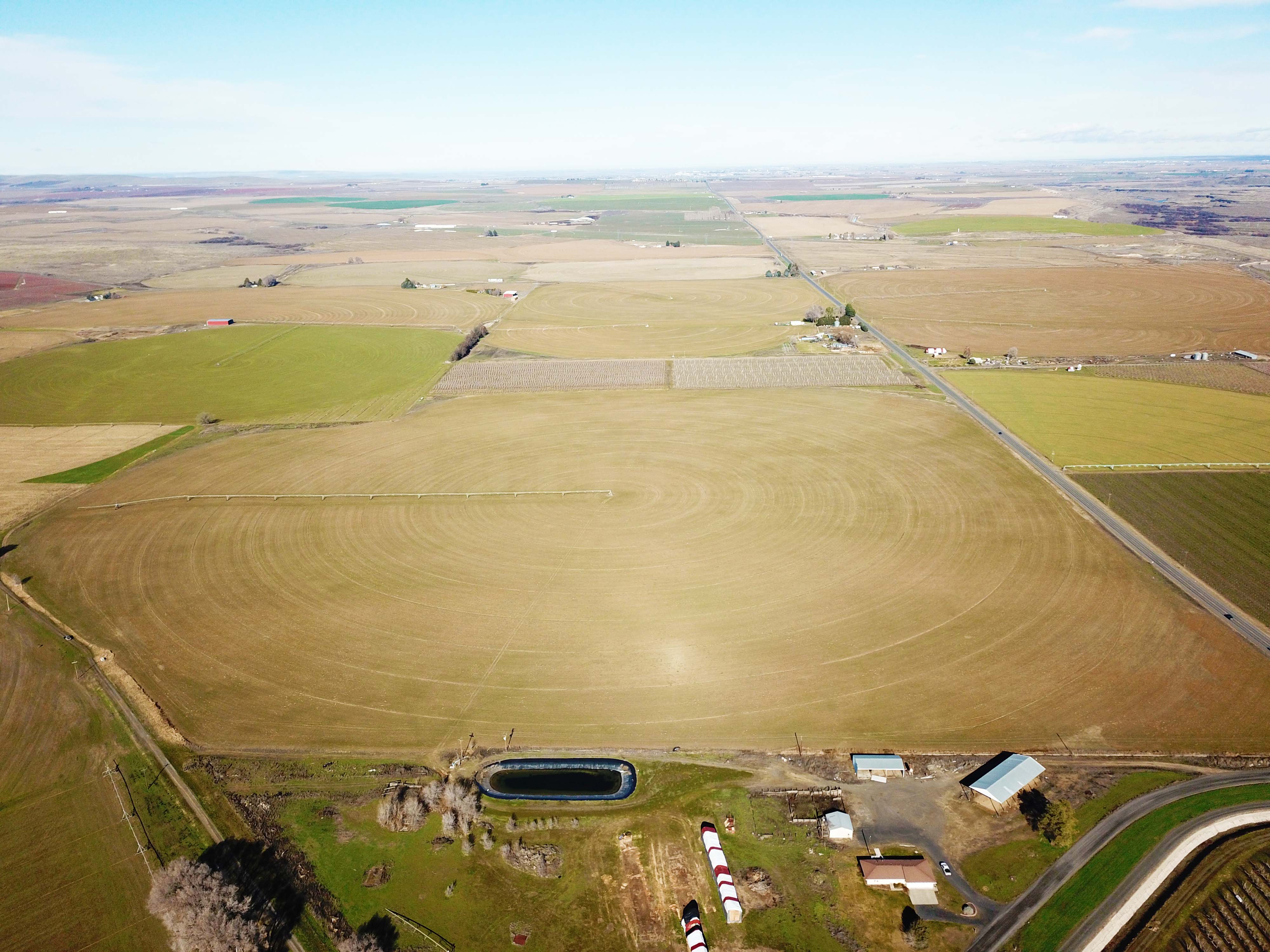 Fern Road Irrigated farm