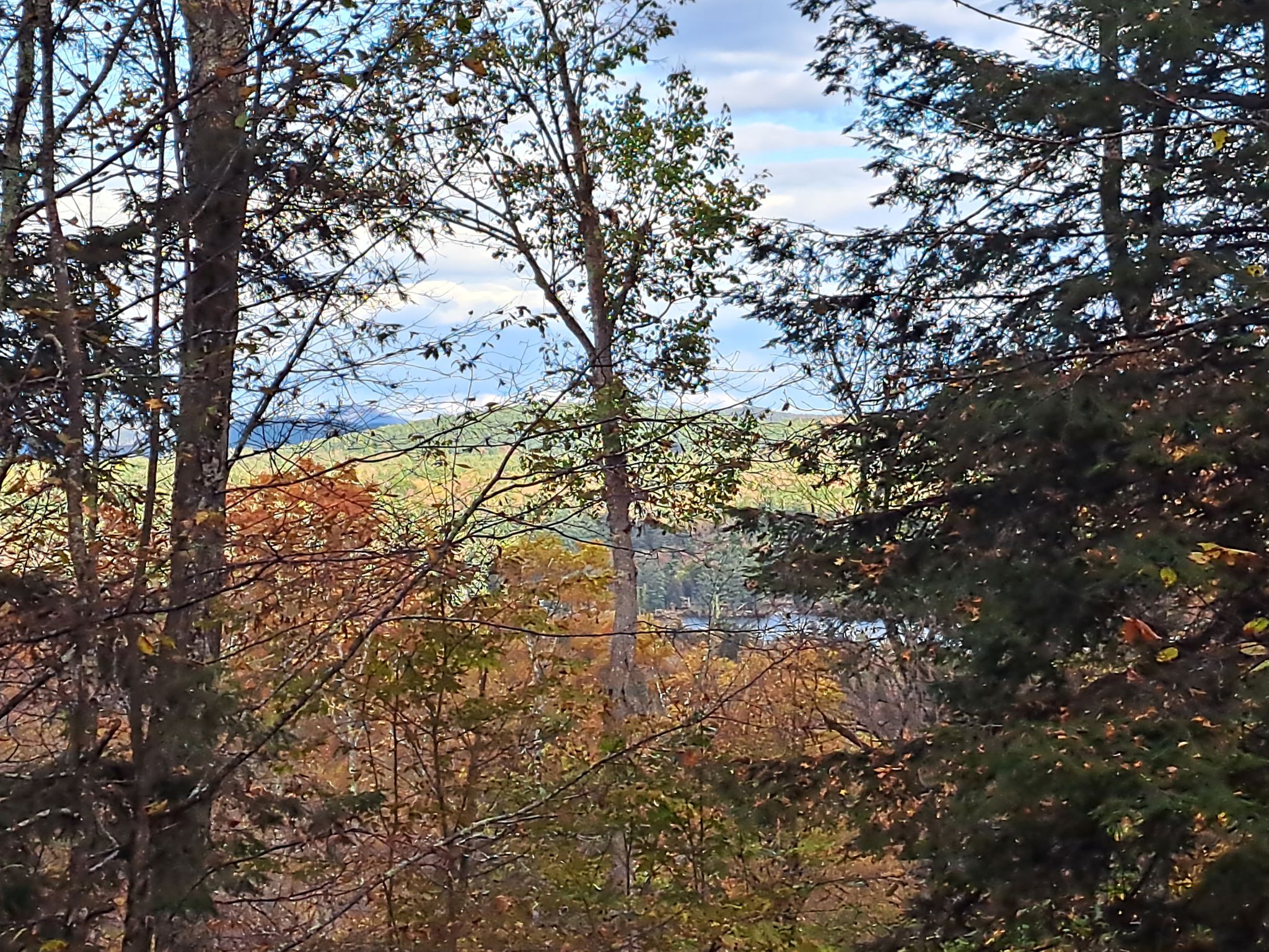 Hudson River Woods & Water