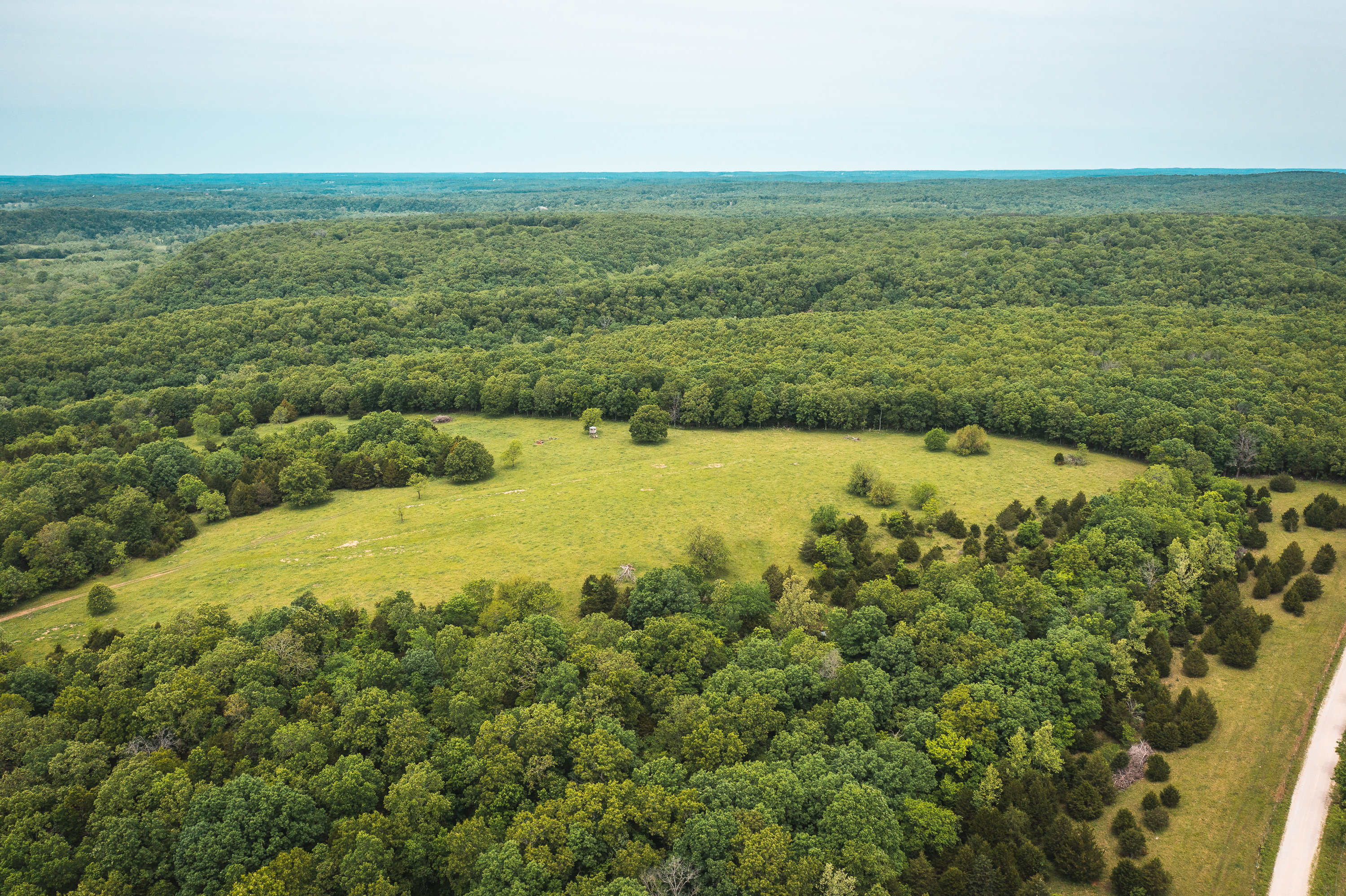 Gasconade Angus Ranch