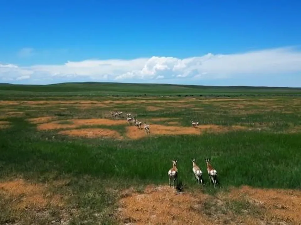 Maybell Grazing & Big Game Ranch