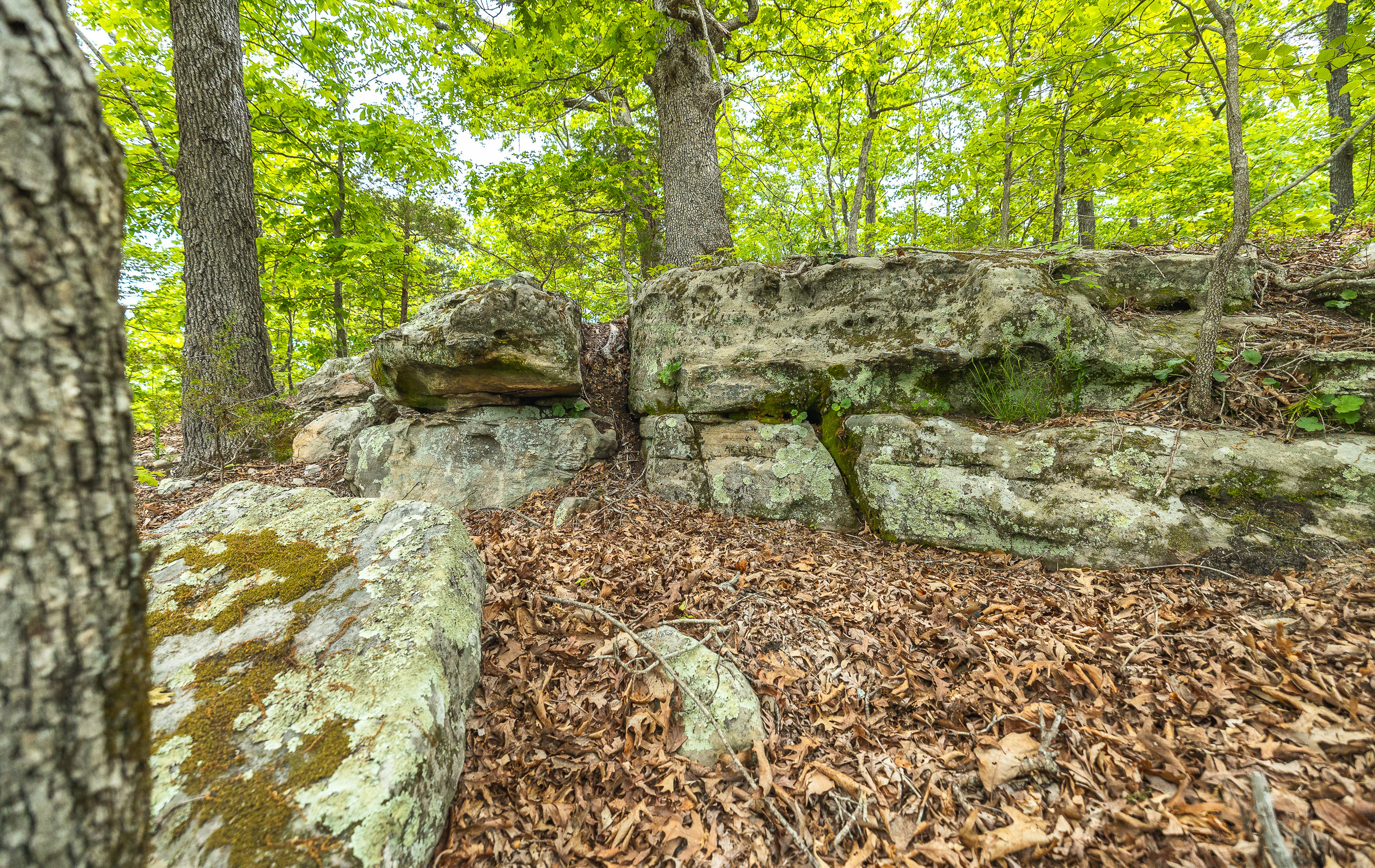 Waters Edge on the Gasconade River Tract 1