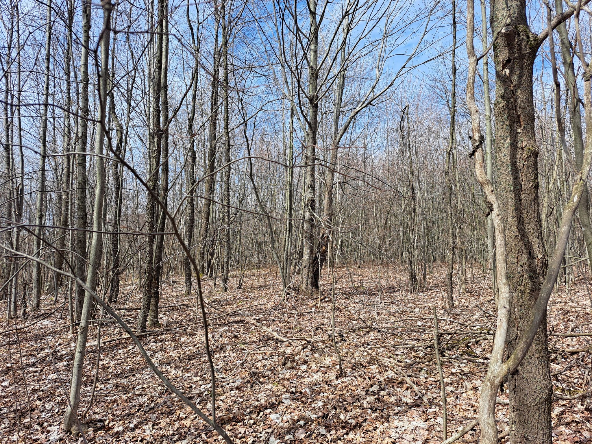 Listing Image 25