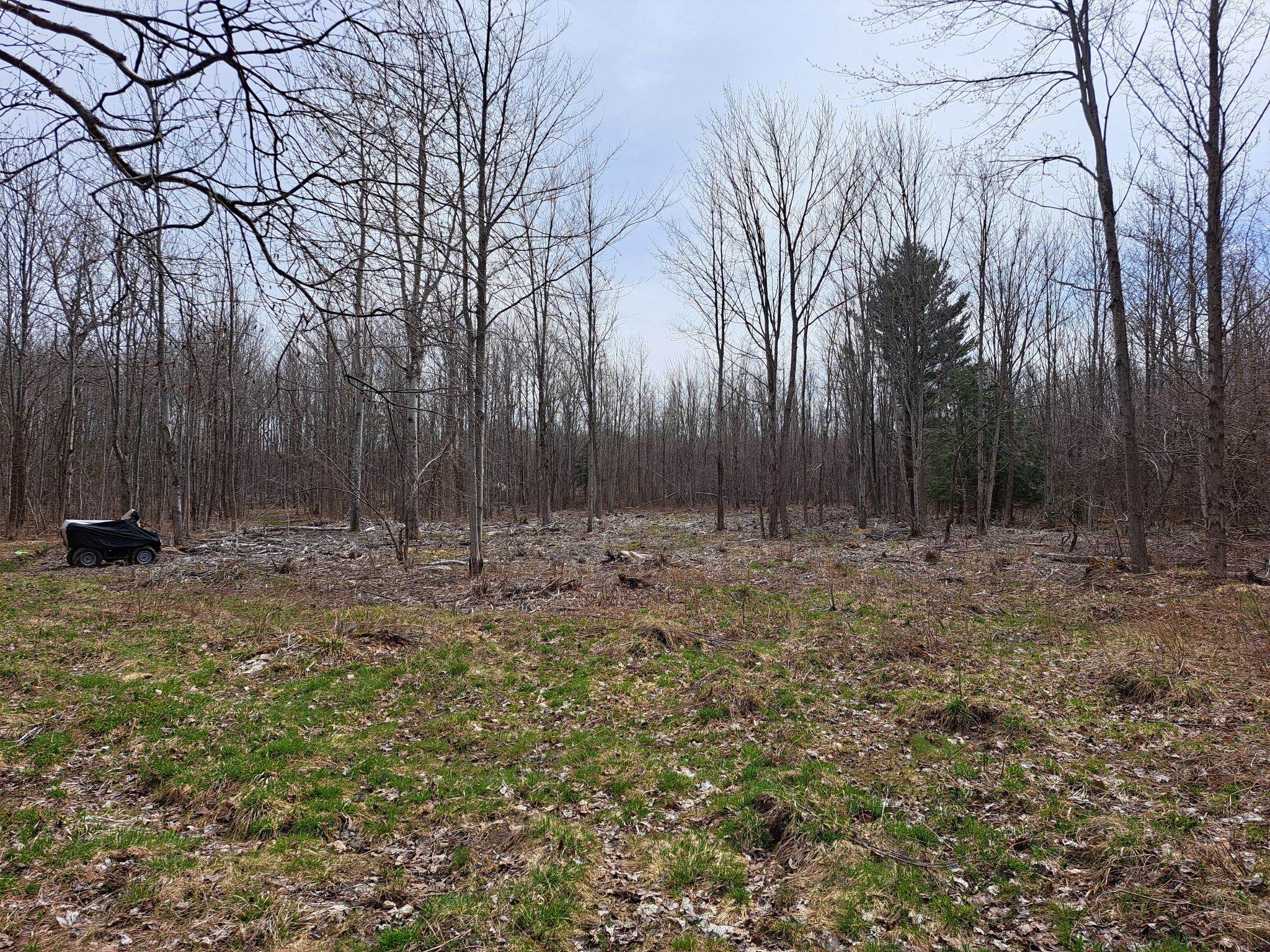 Listing Image 13