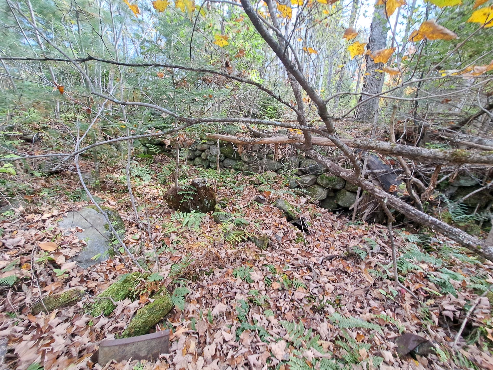Hudson River Woods & Water