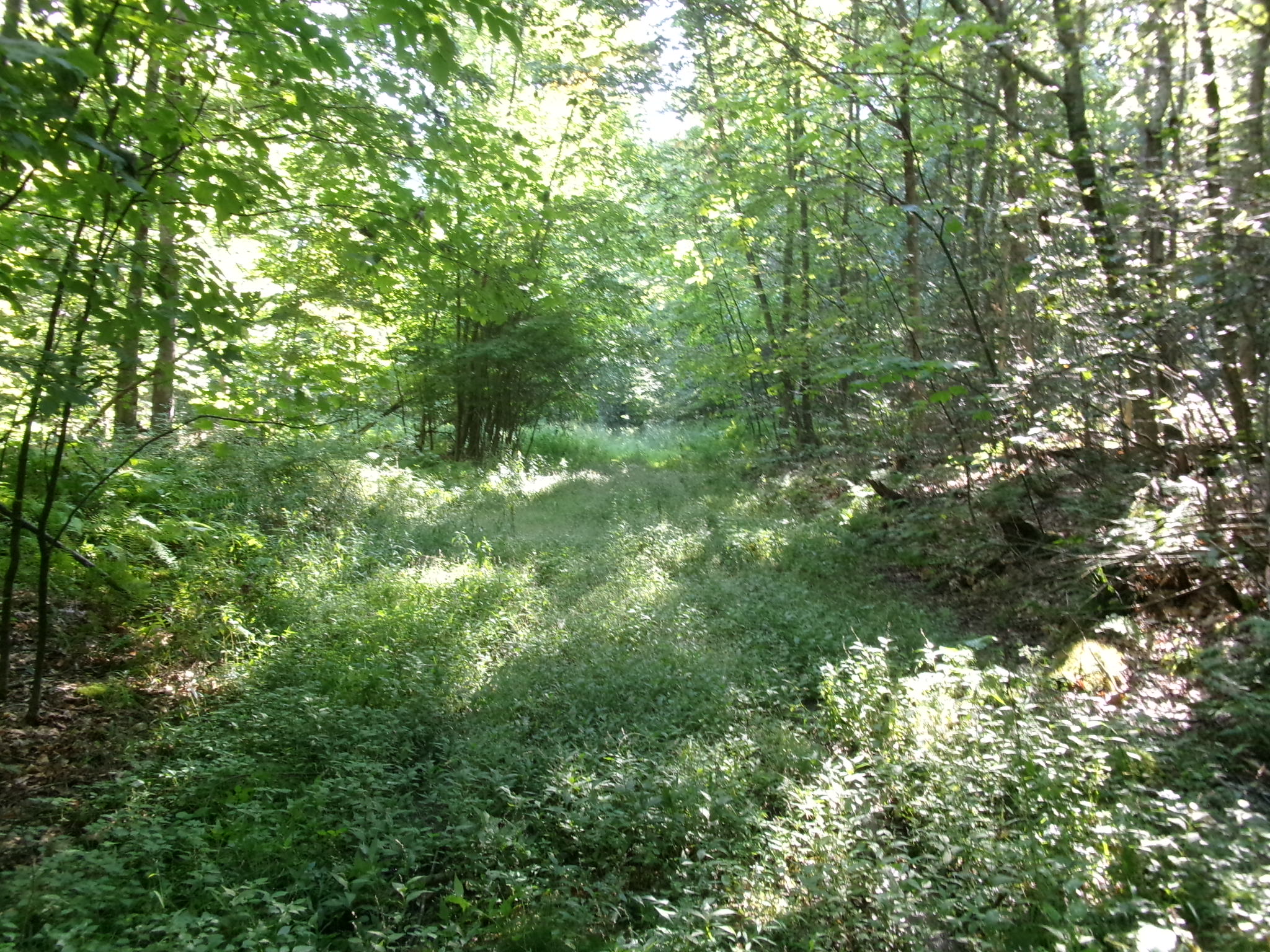 Listing Image 25