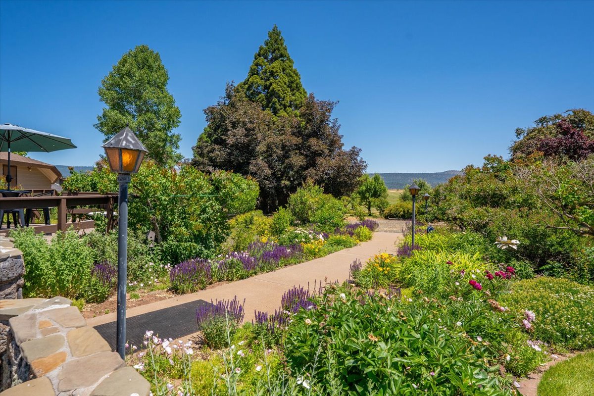 Mystic Mountain Ranch