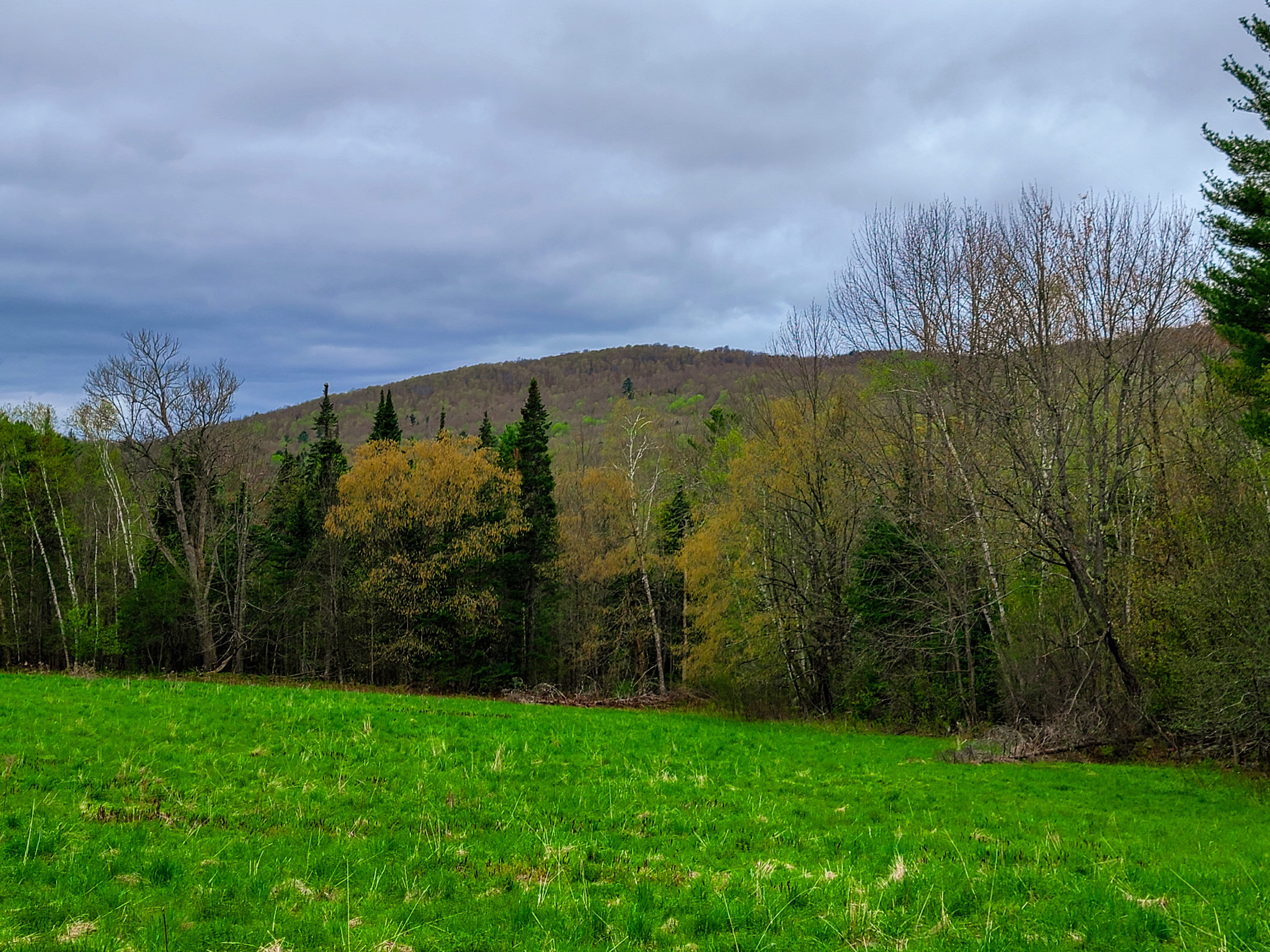 855 Campbell Rd - Waterford