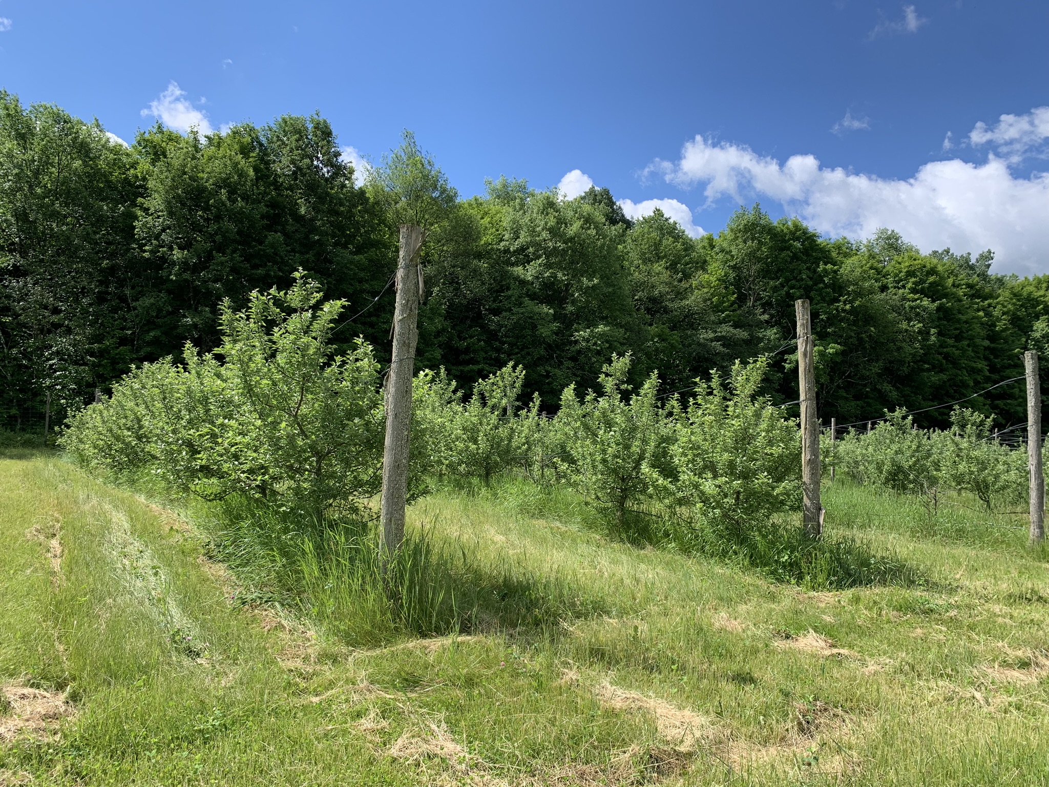 Listing Image 21