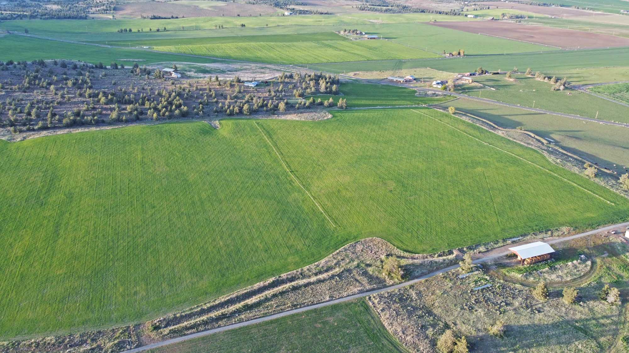 ORGANIC CROPLAND WITH POTENTIAL HOME SITE