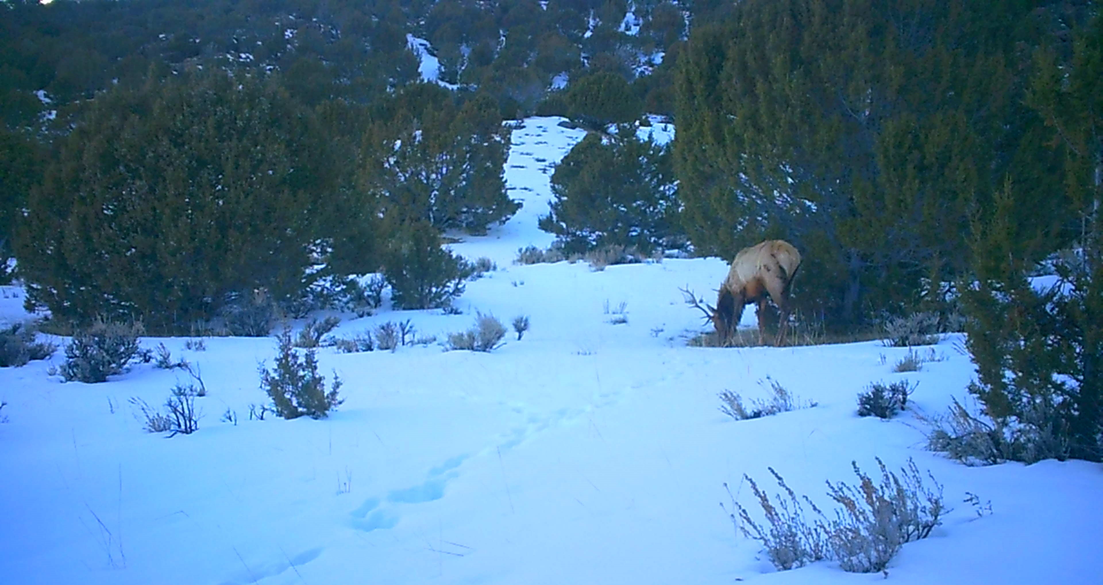 Maybell Grazing & Big Game Ranch
