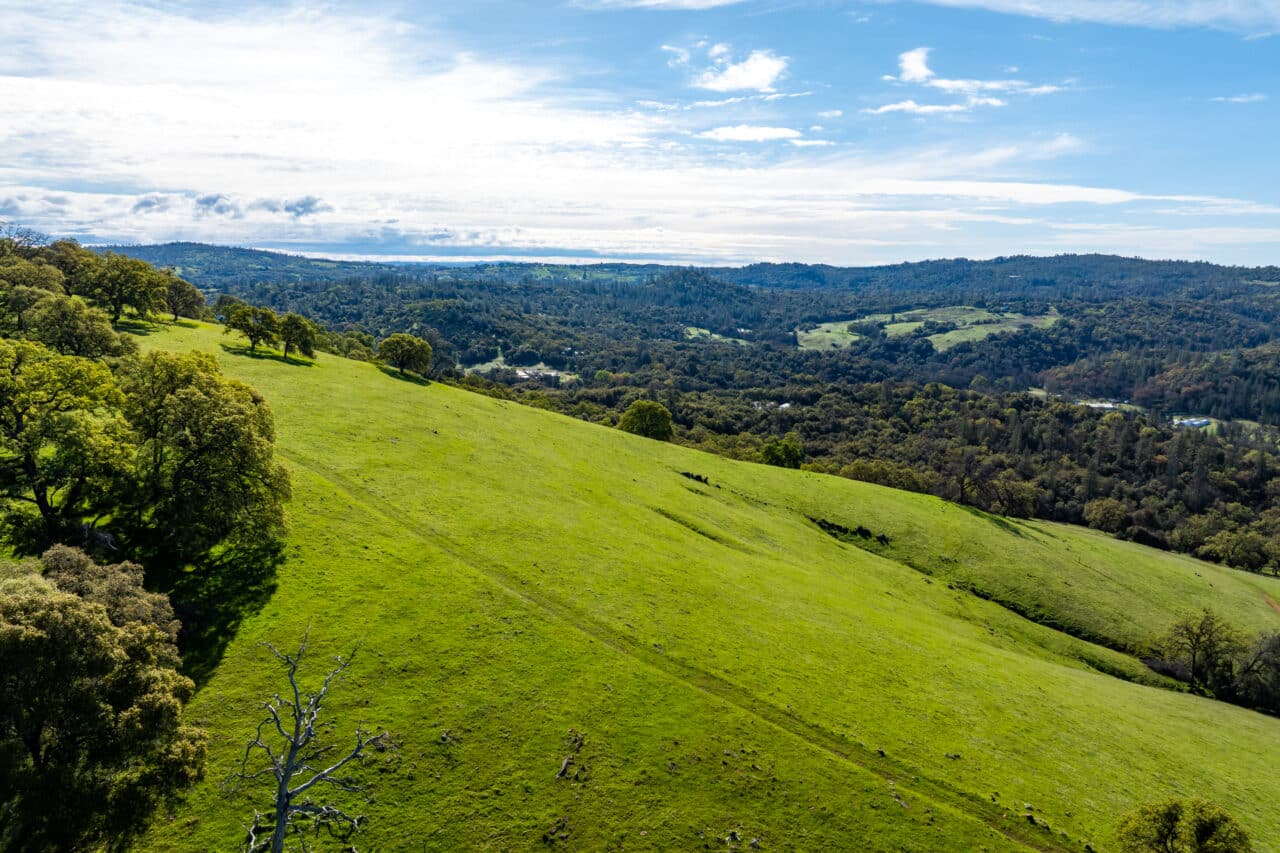 Hyatt Ranch