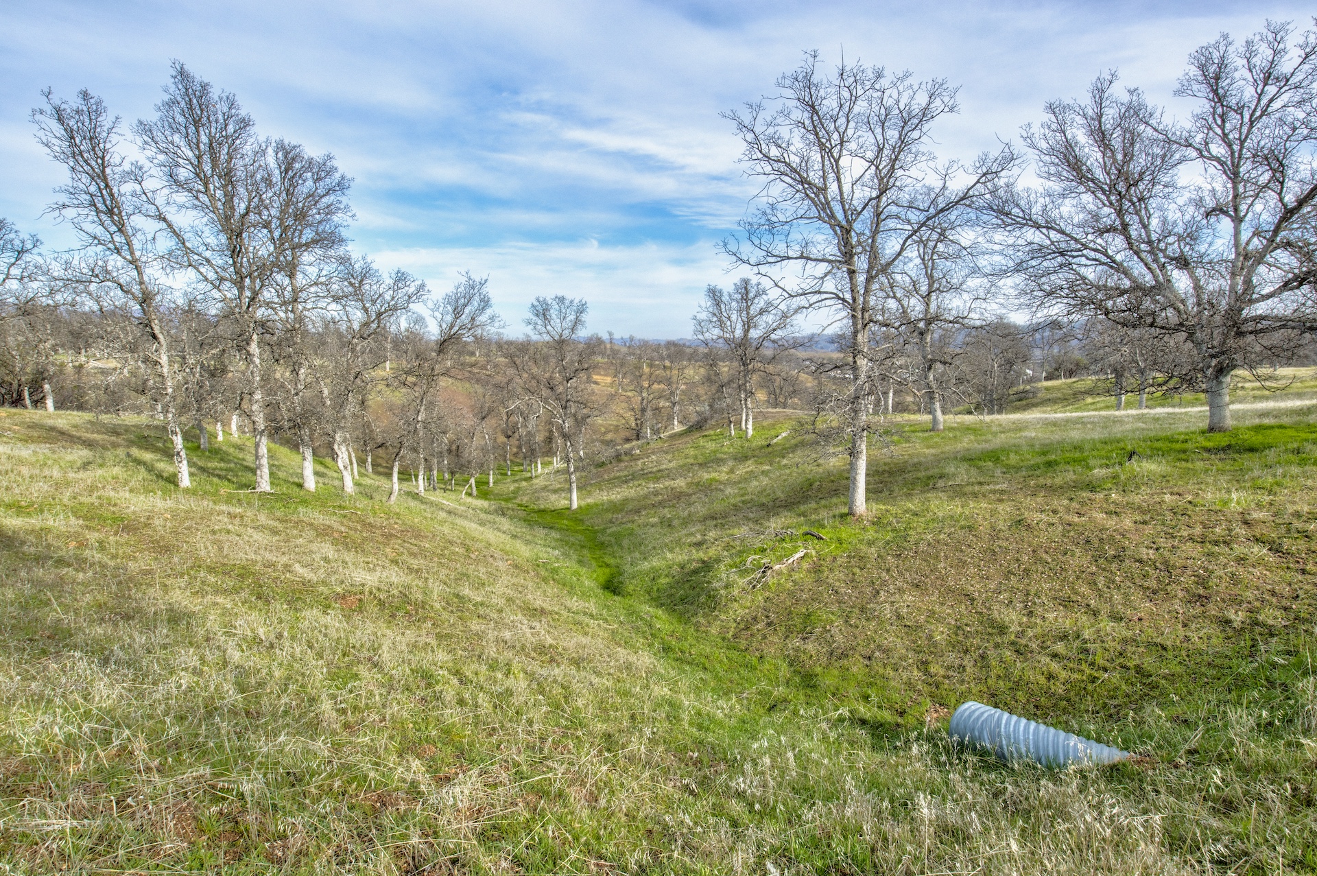 Elk Creek Ranchette