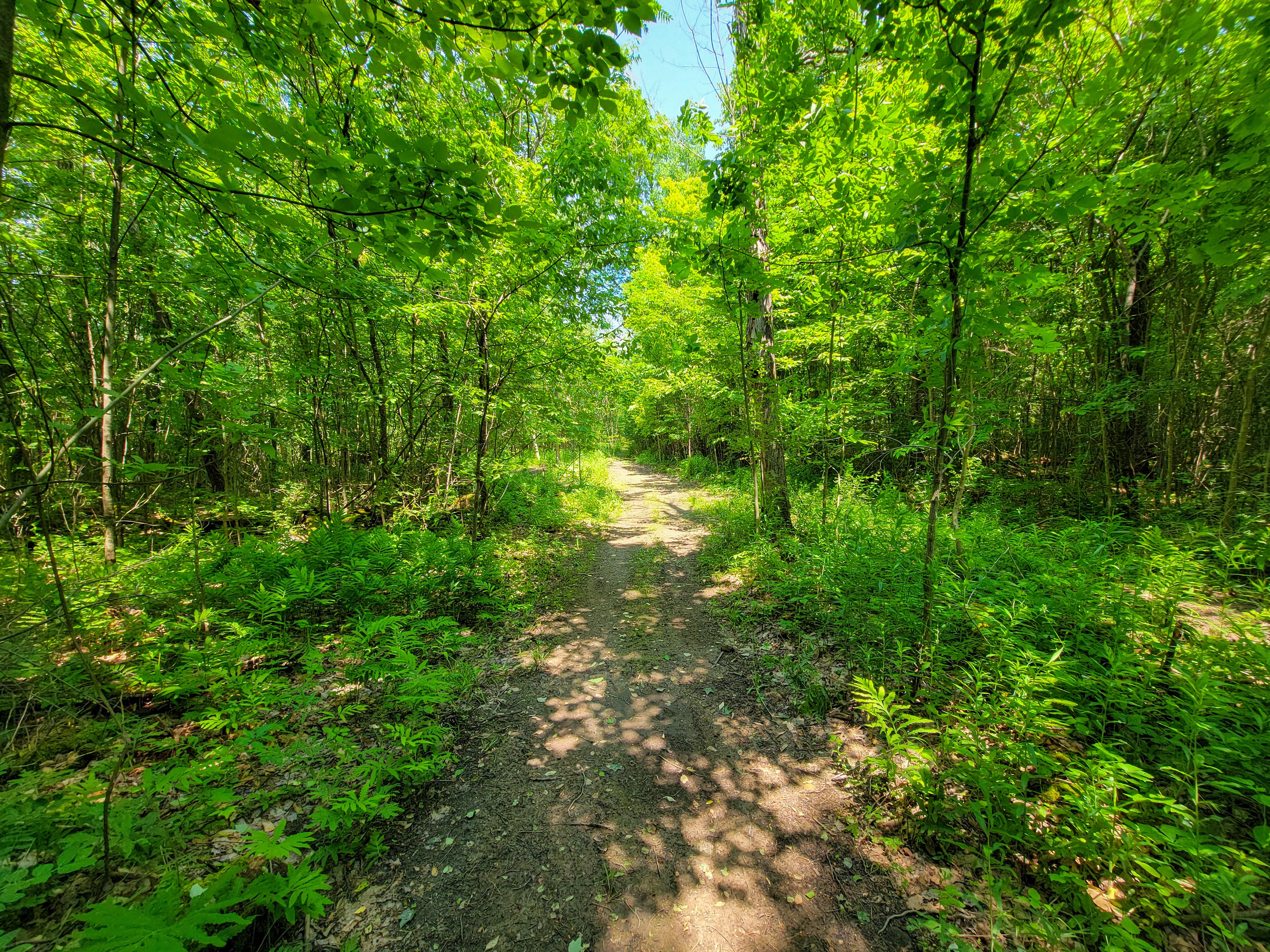 21 Nickerson Rd - Brandon