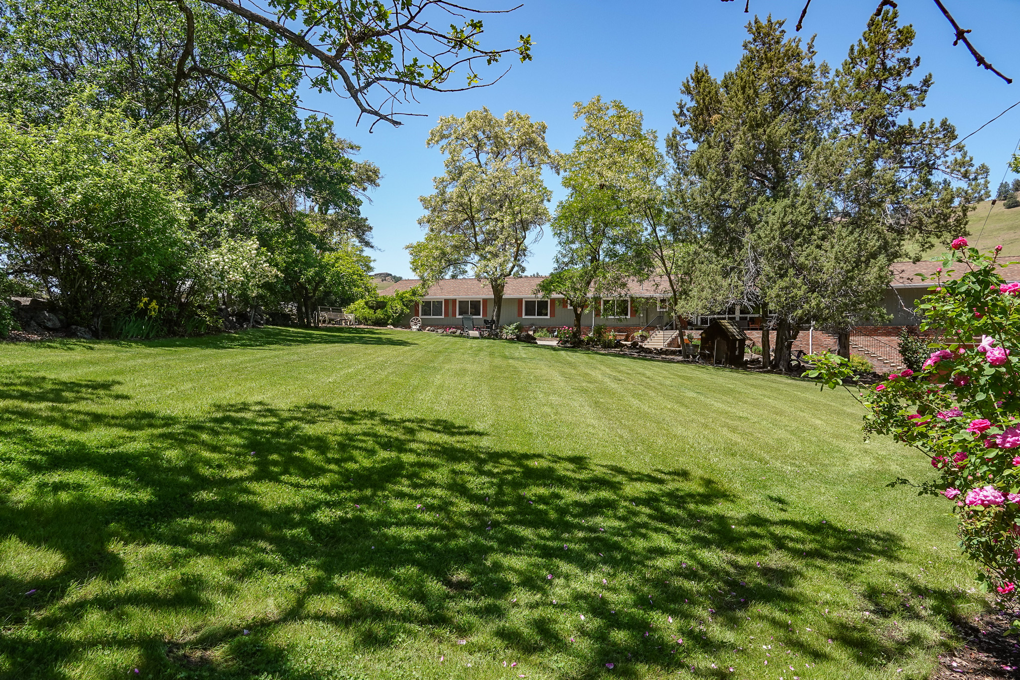 MJ Ranch