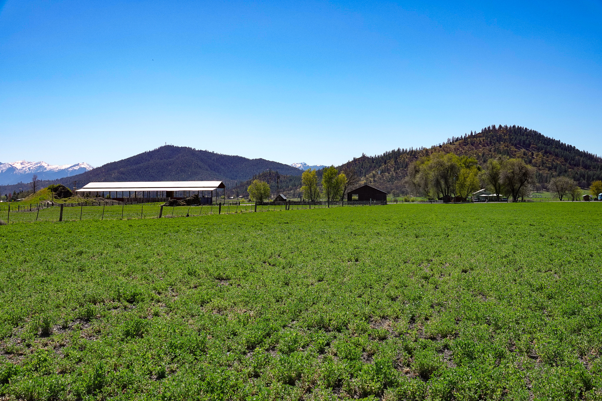 Kraus and Sons Ranch