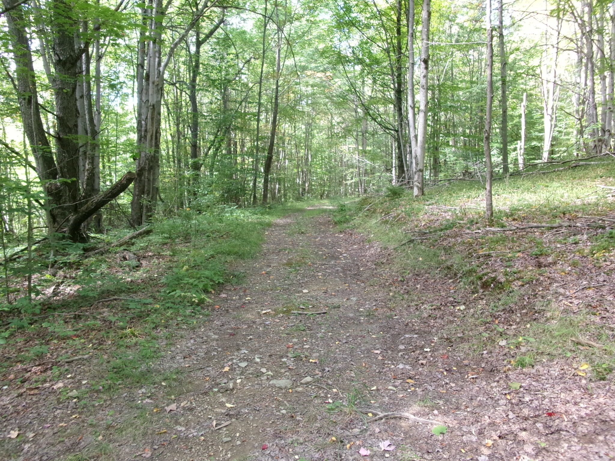 Listing Image 35