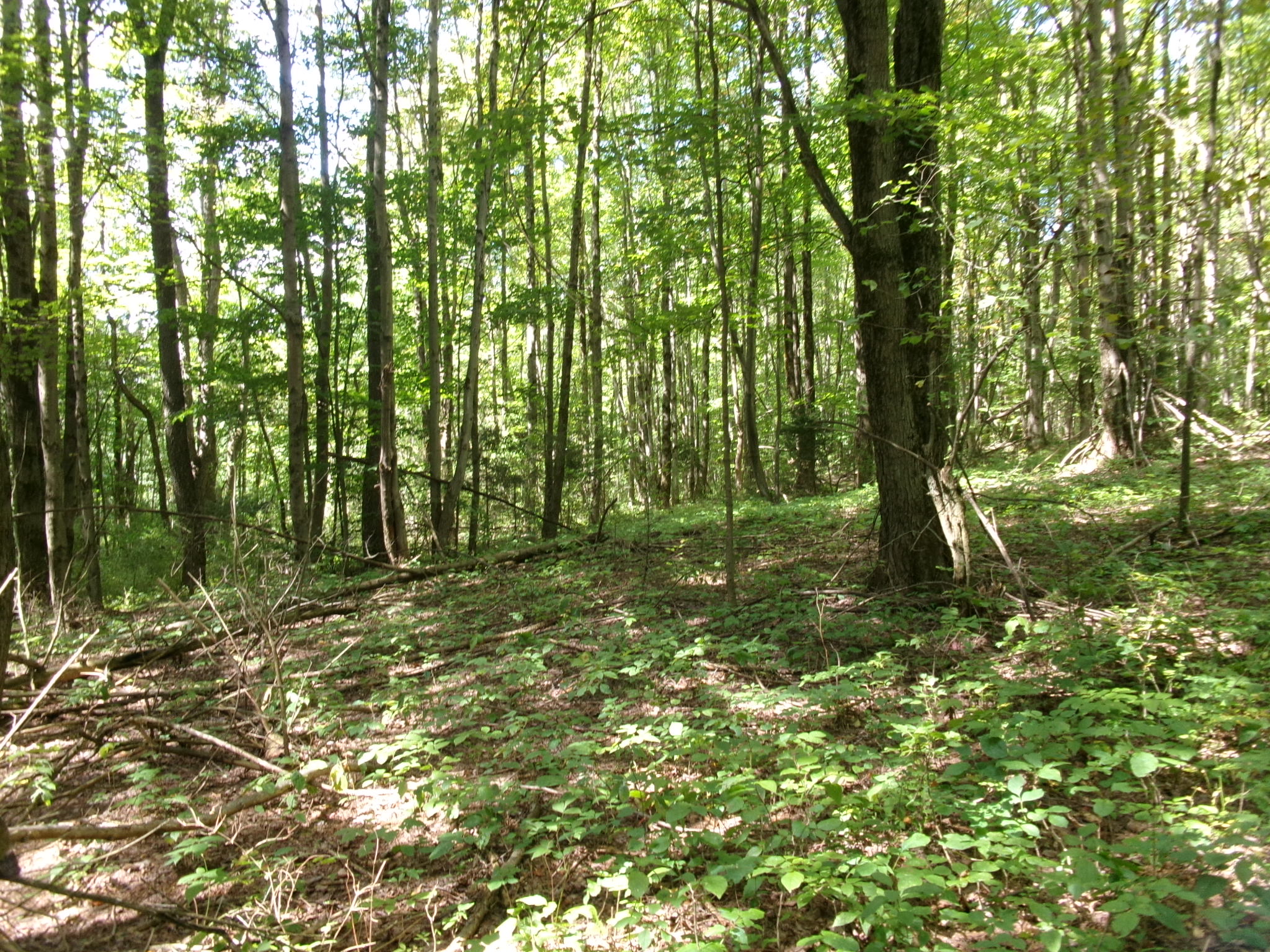 Listing Image 33