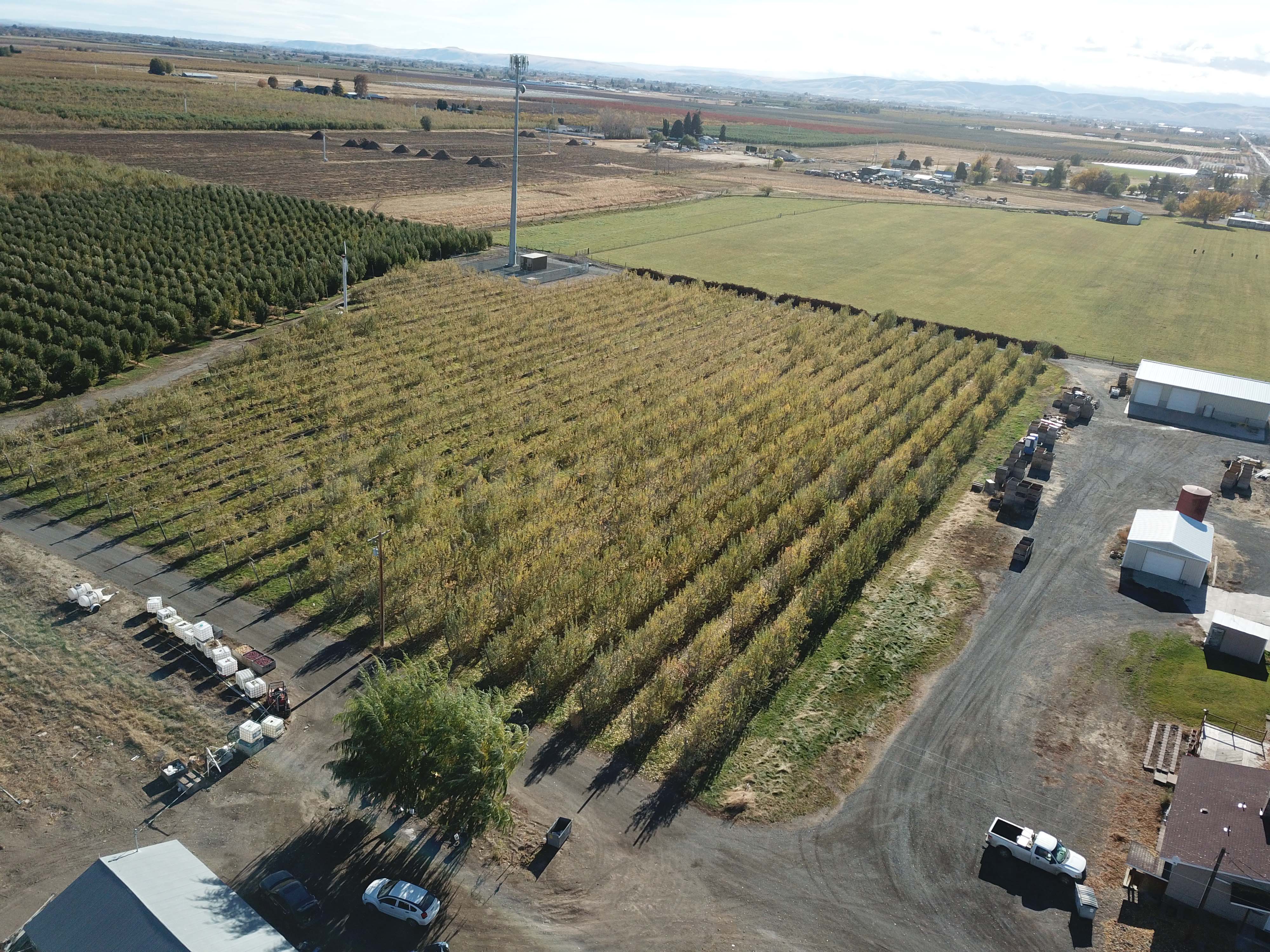 Apple Orchard w Equipment, House and Shops!