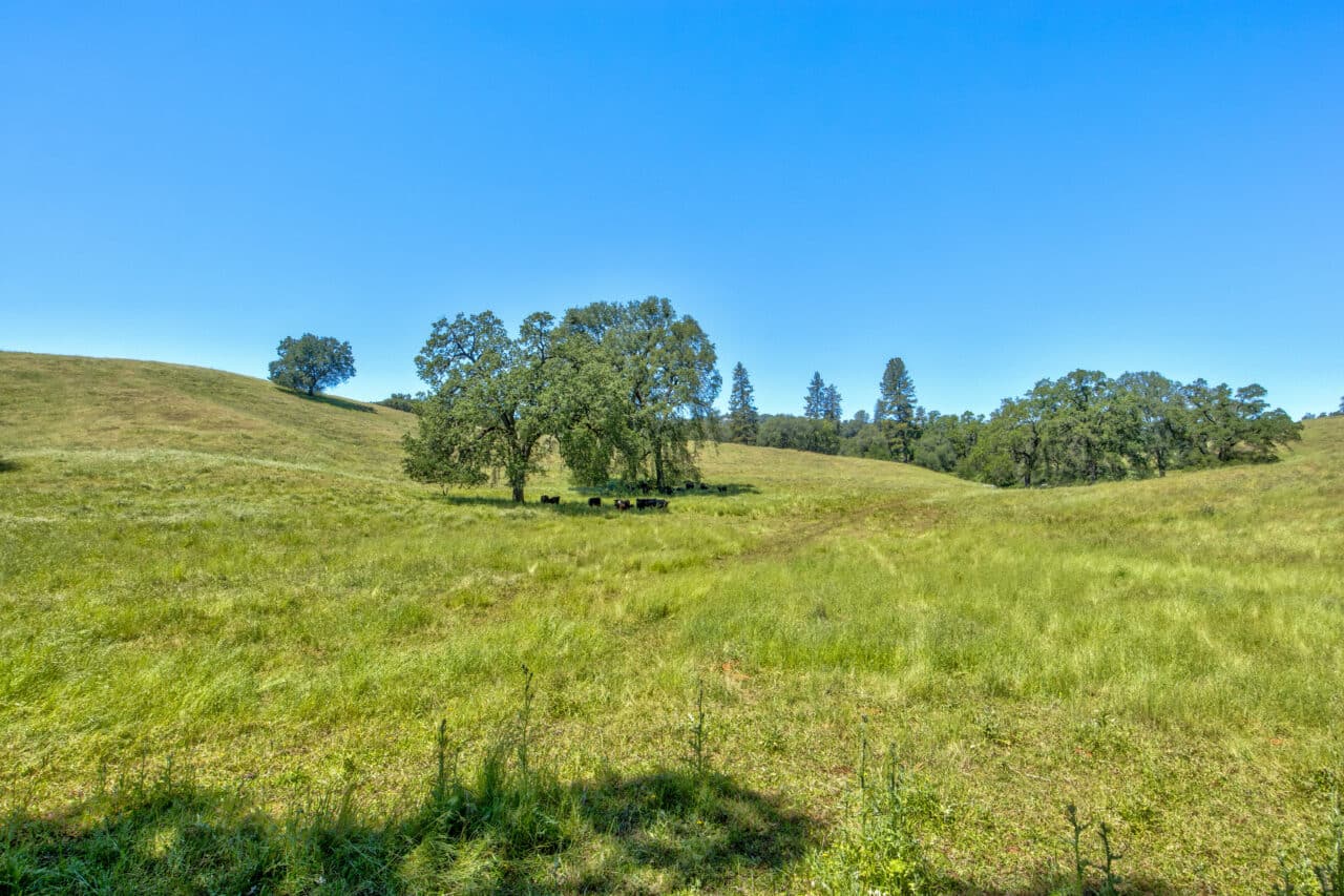 Listing Image 61