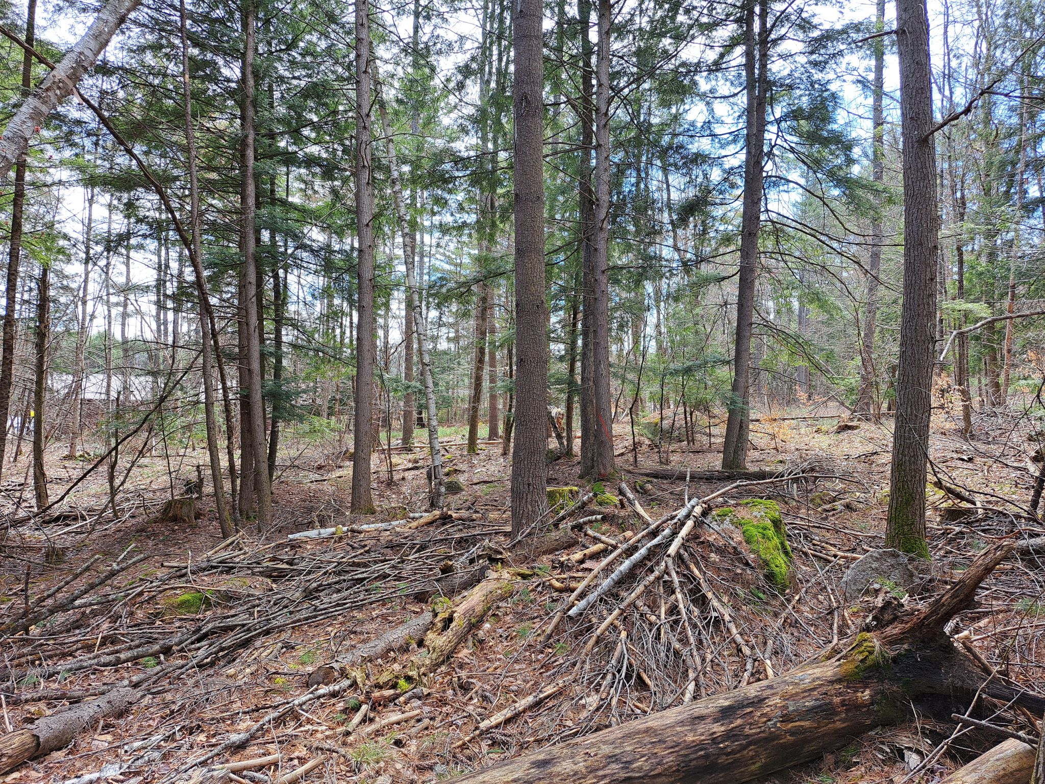 Listing Image 48
