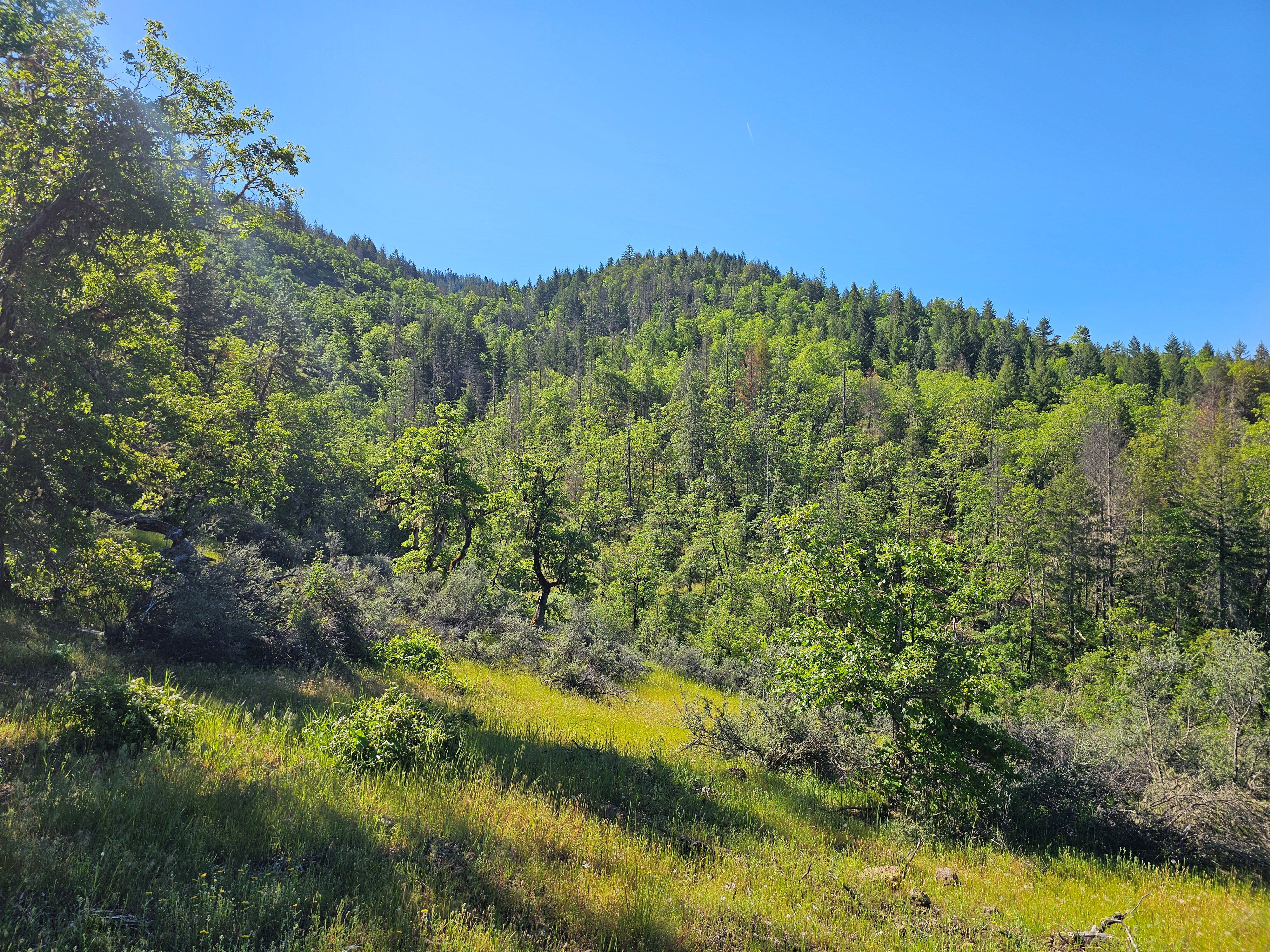 Elk Creek Road TL 3200