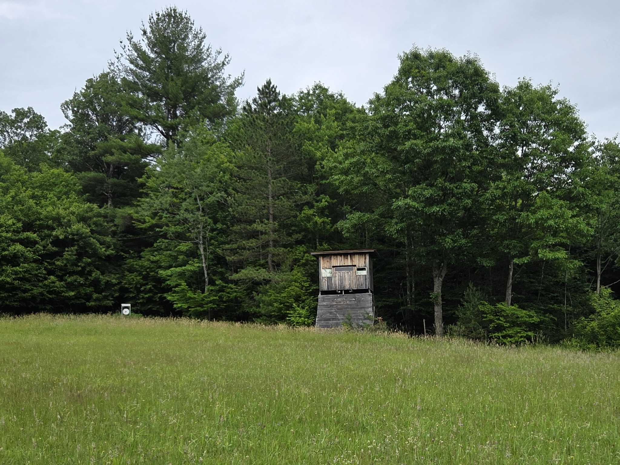 Listing Image 50