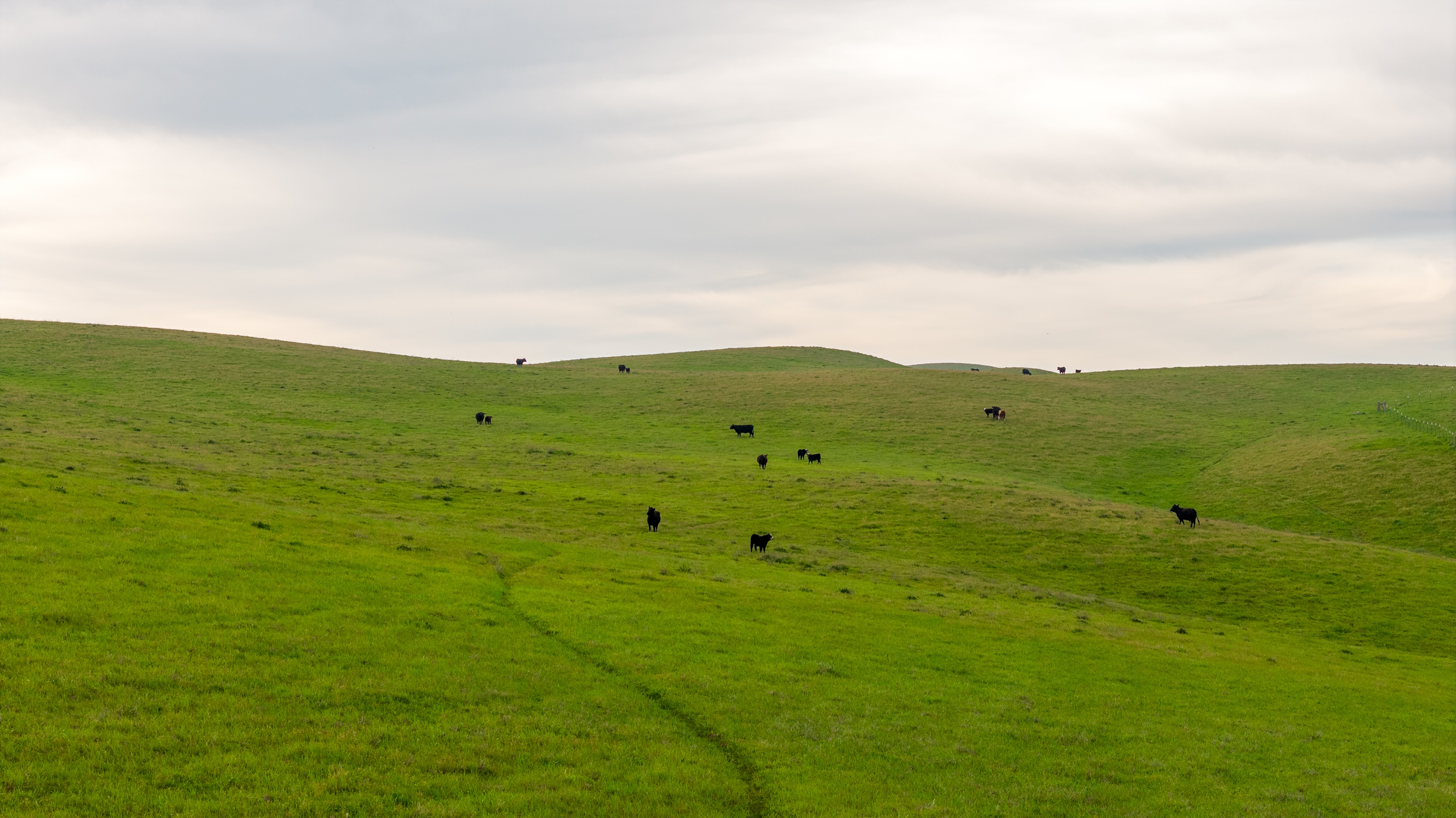 Pritchard Sumner Ranch