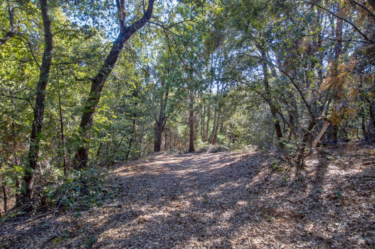 Listing Image 59