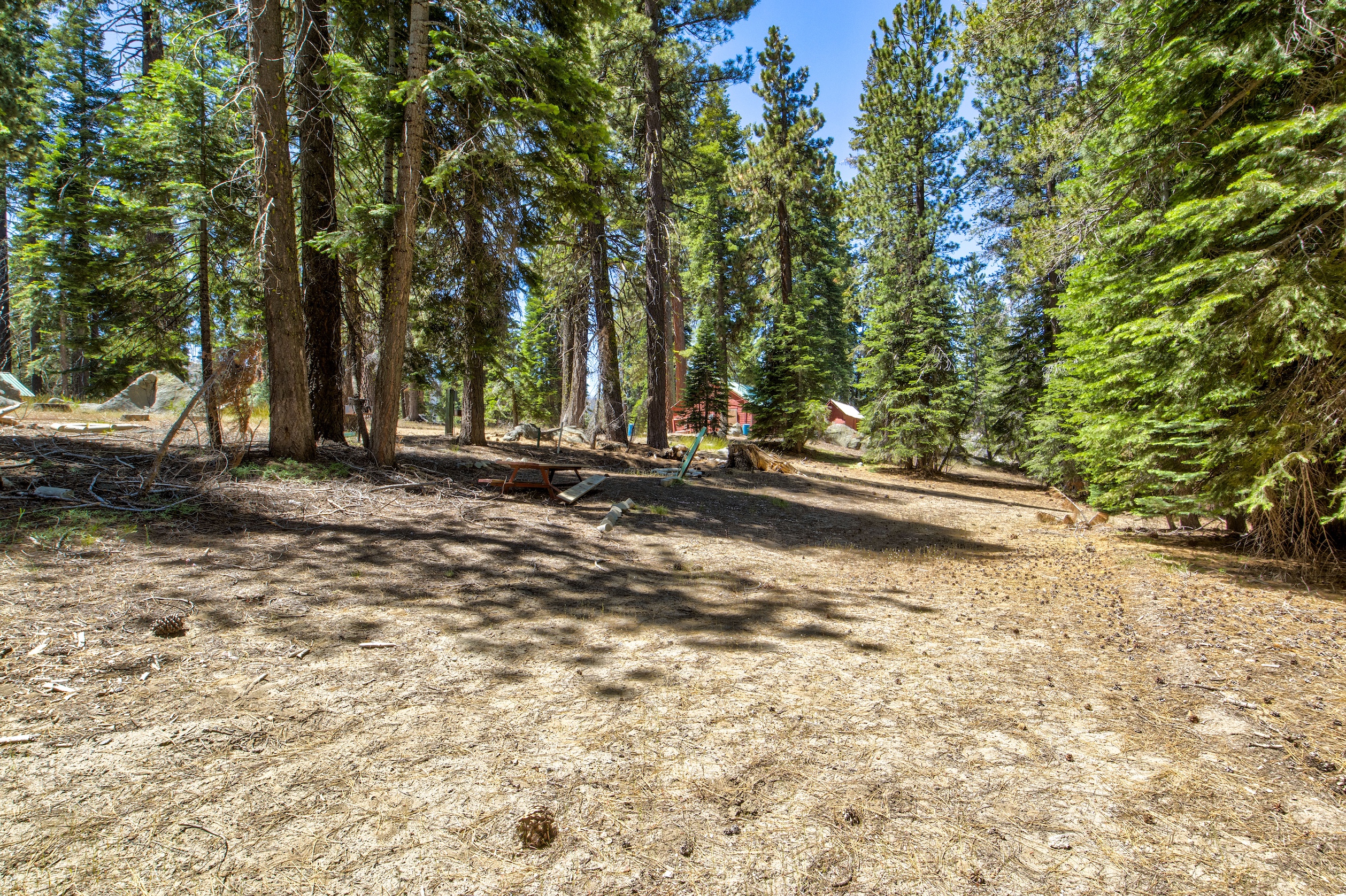 Listing Image 49