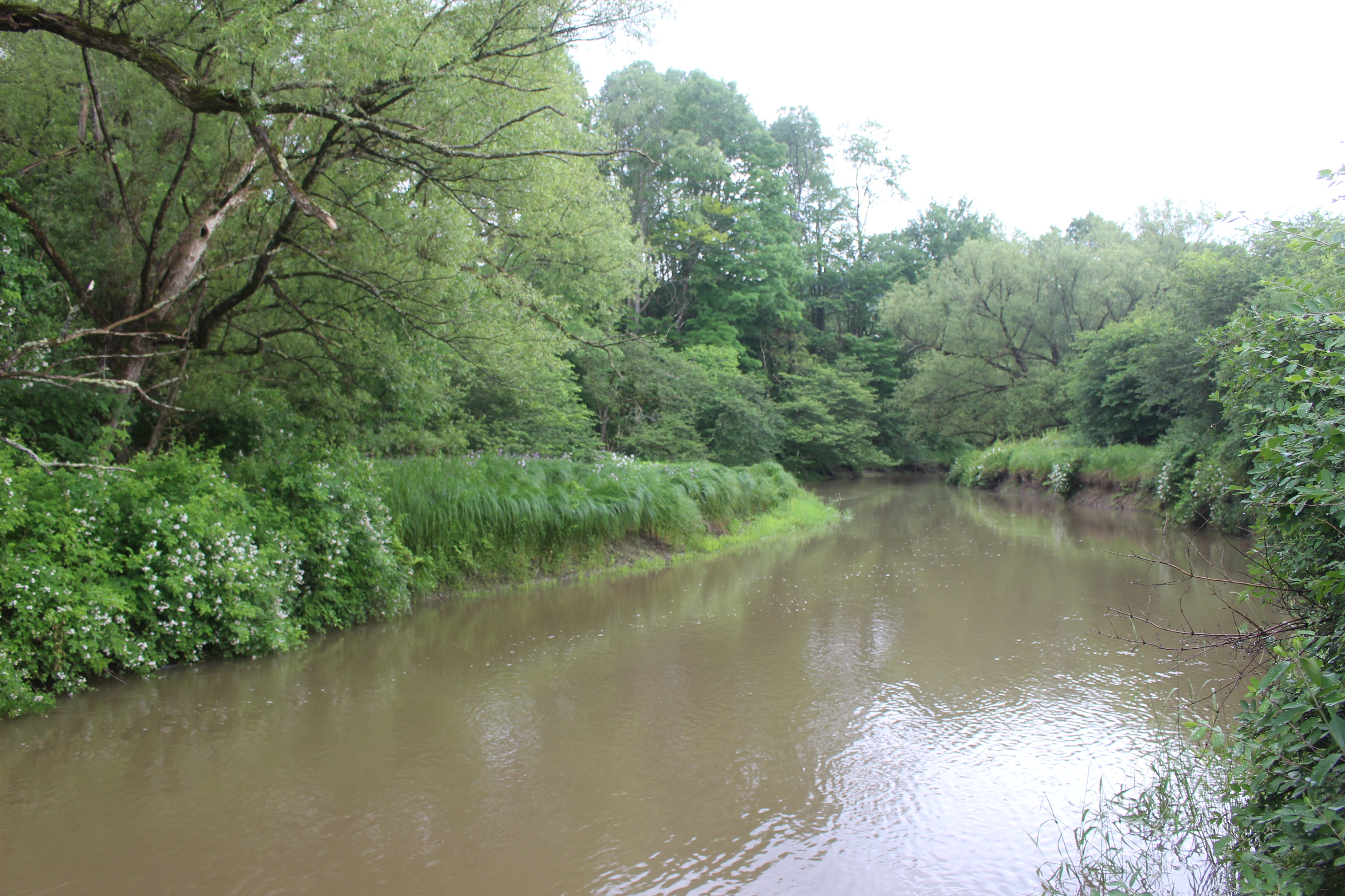 Dodge Creek