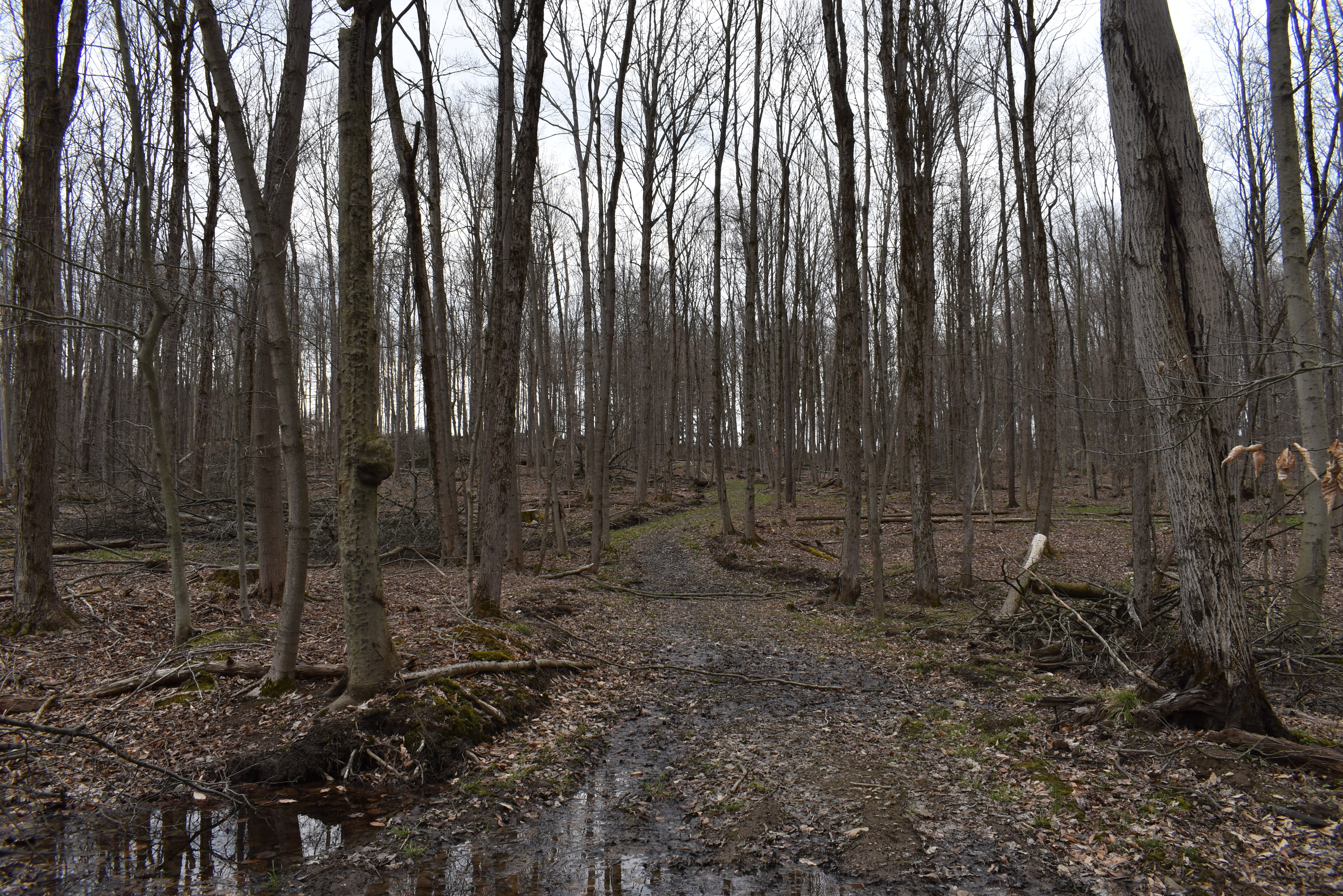 Hammond Hill Hideaway