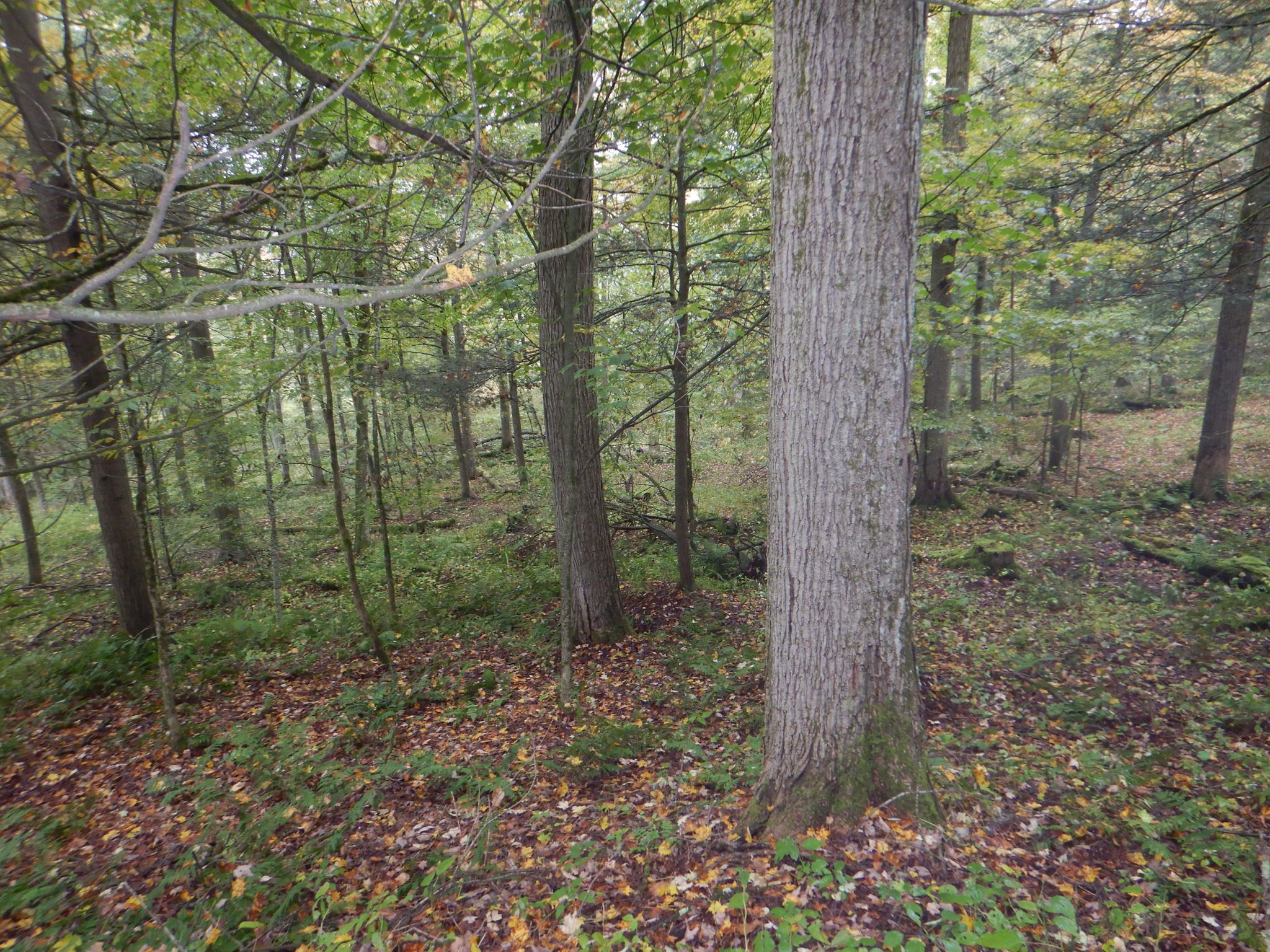 Listing Image 27