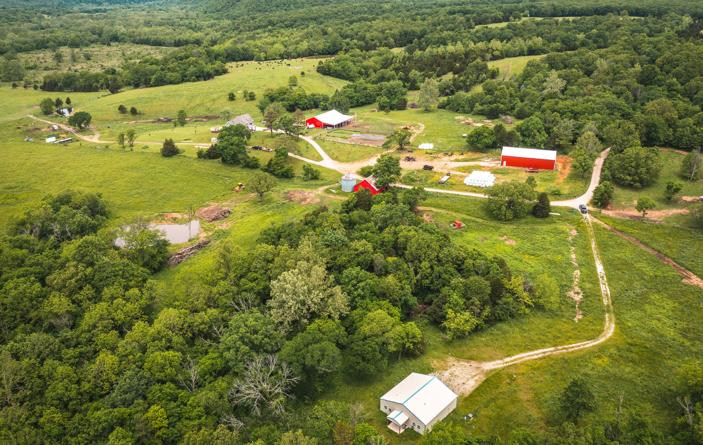 Gasconade Angus Ranch