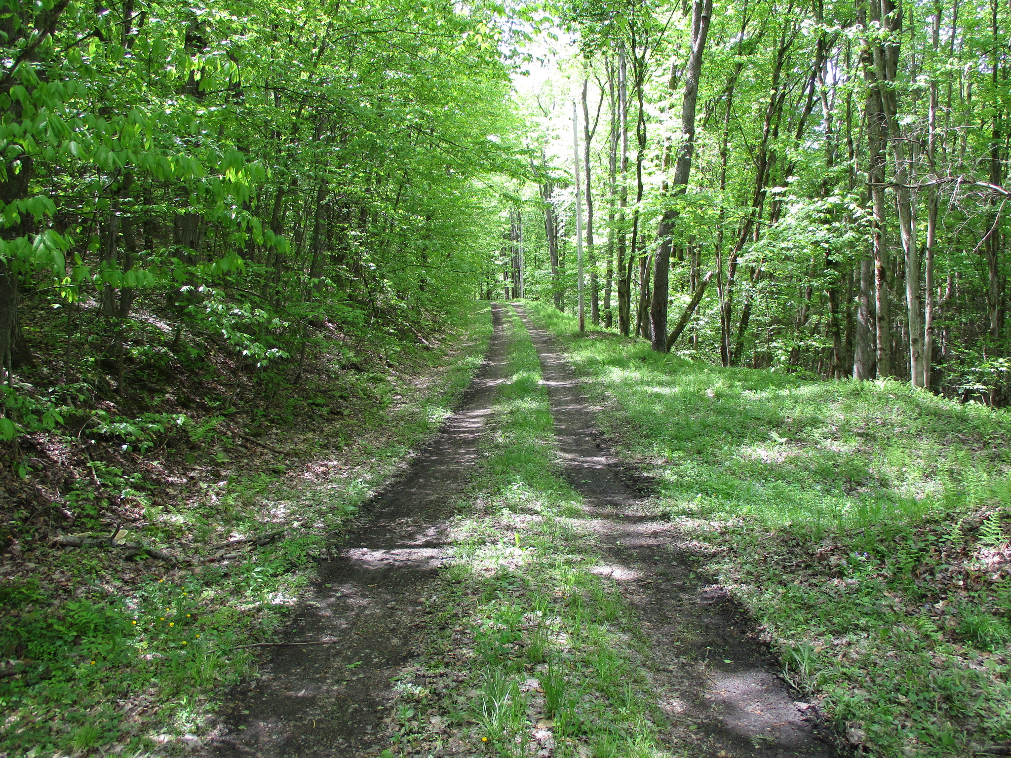 Legacy Land and Cabin