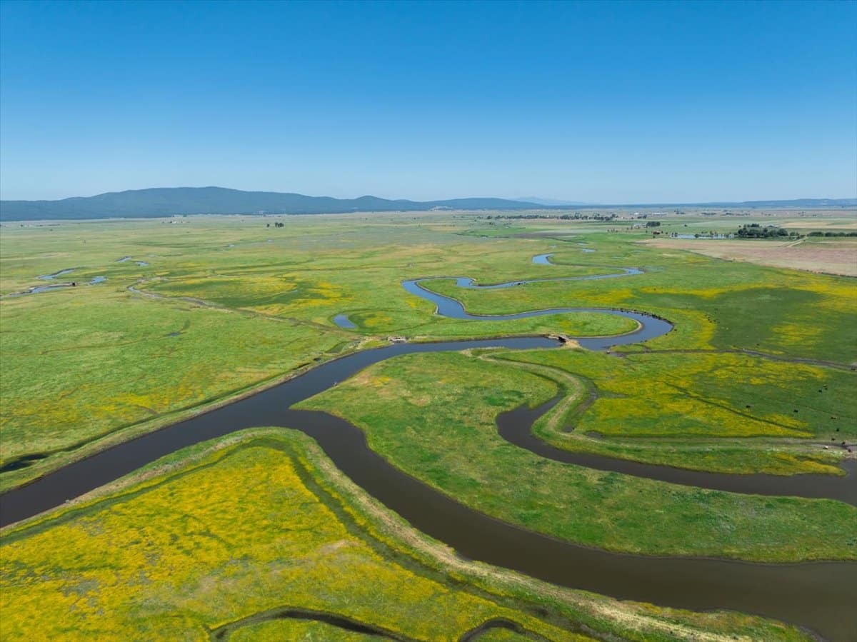 Pit River Cattle Ranch