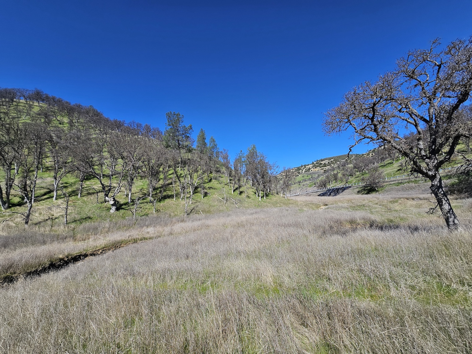 Lake County Ranch