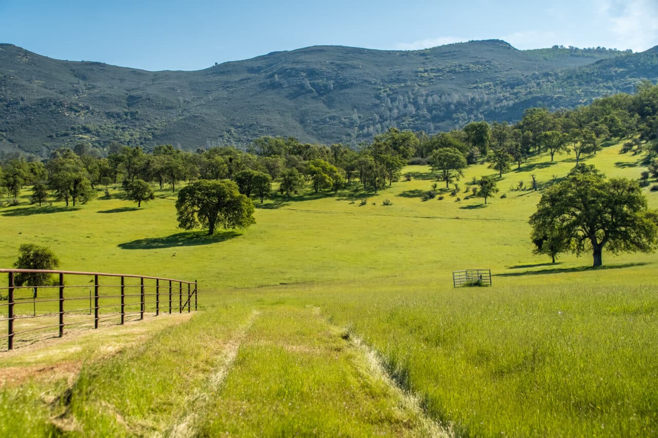 The Gann Ranch