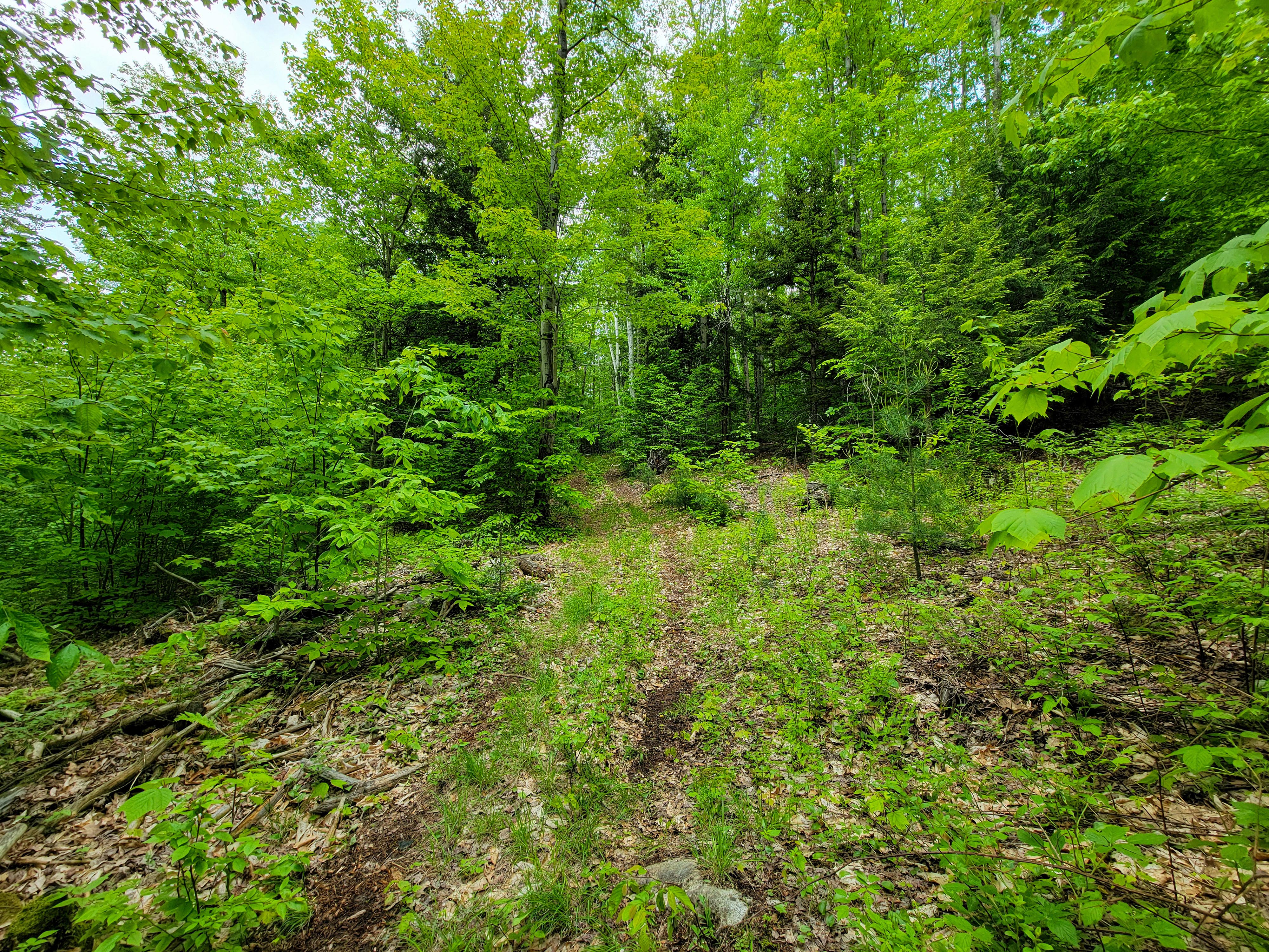 1105 South Hill Rd - Jamaica