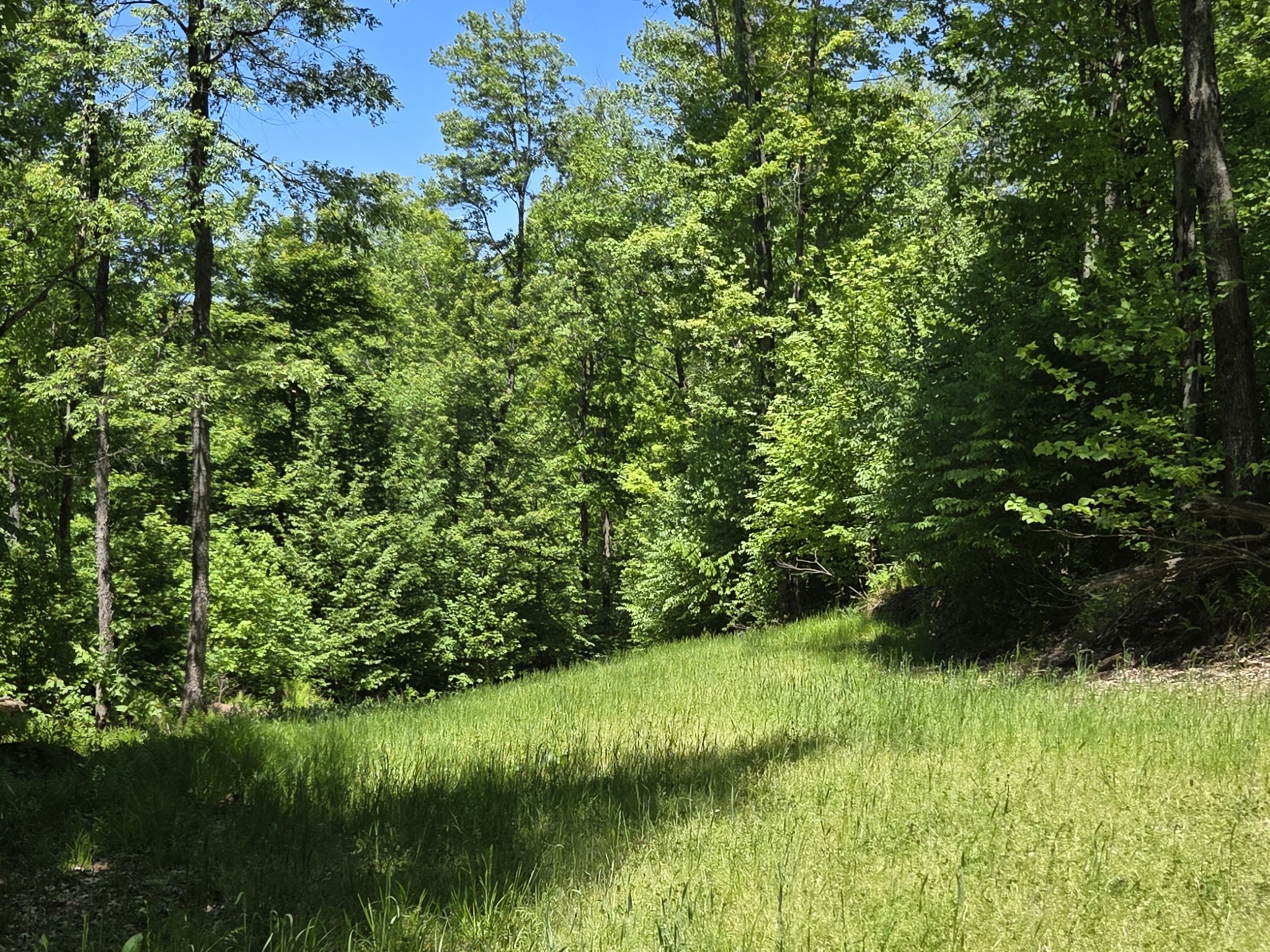 Listing Image 47