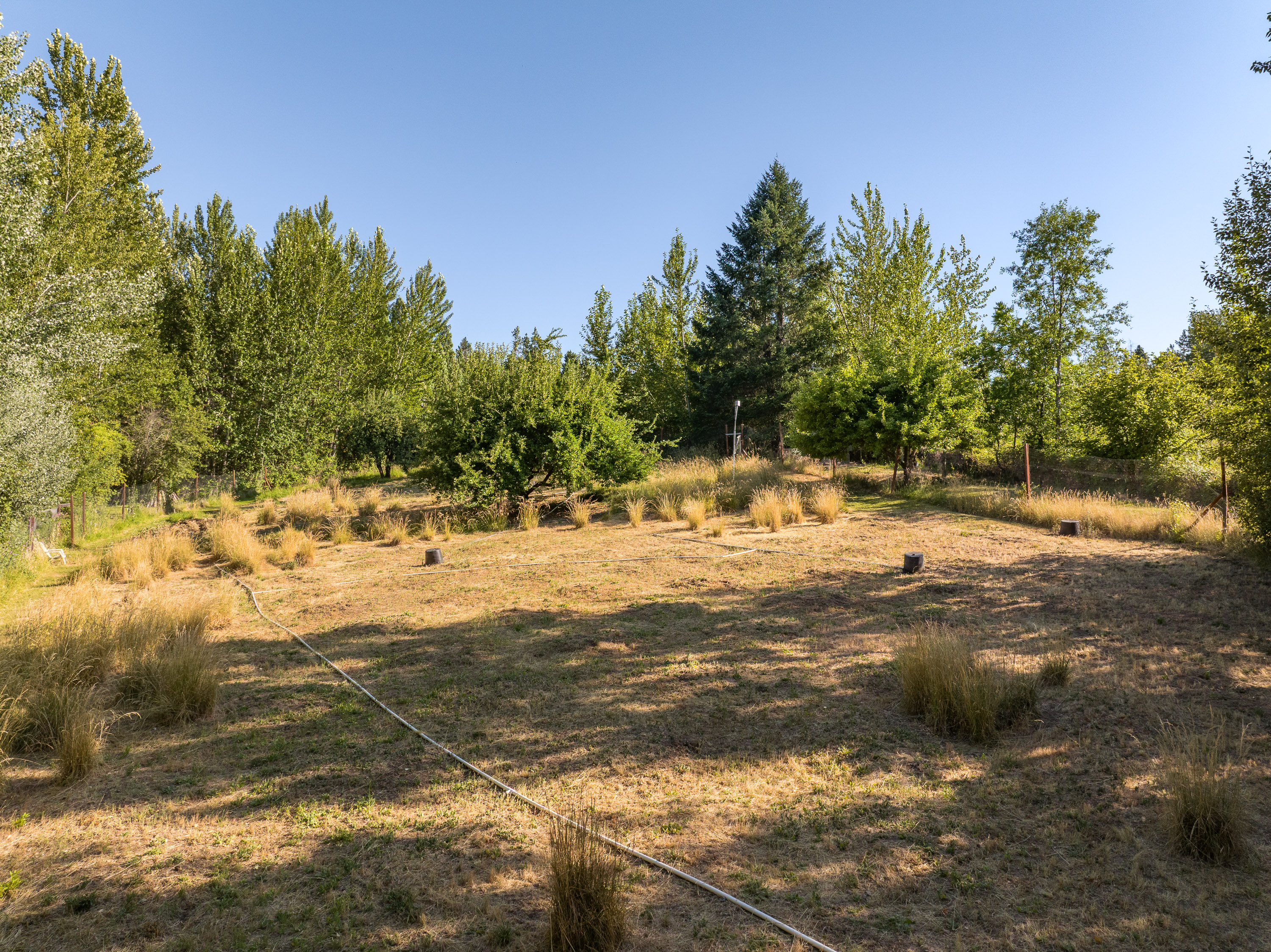 Listing Image 51