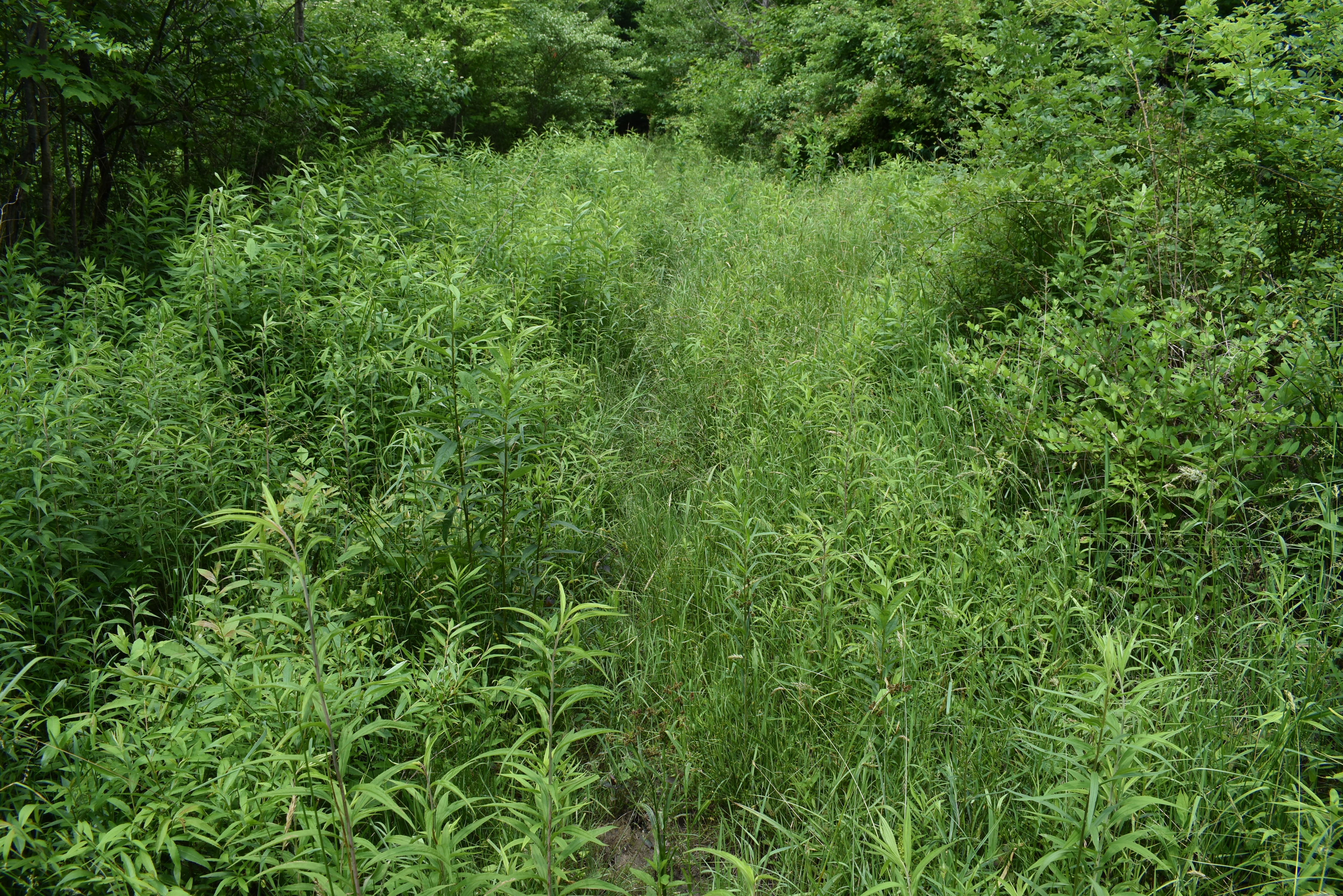 Listing Image 61