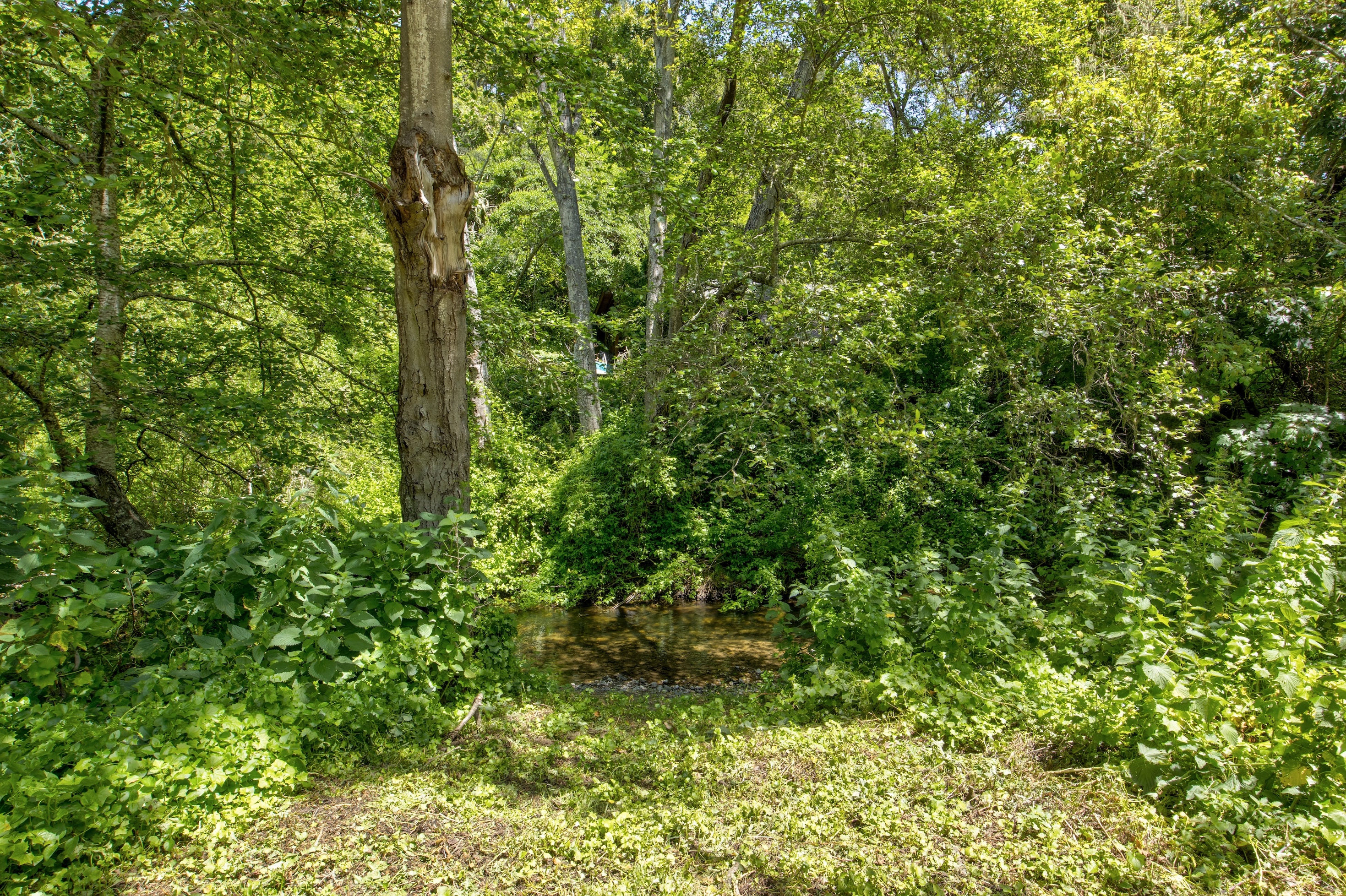 San Gregorio Creekside Farm
