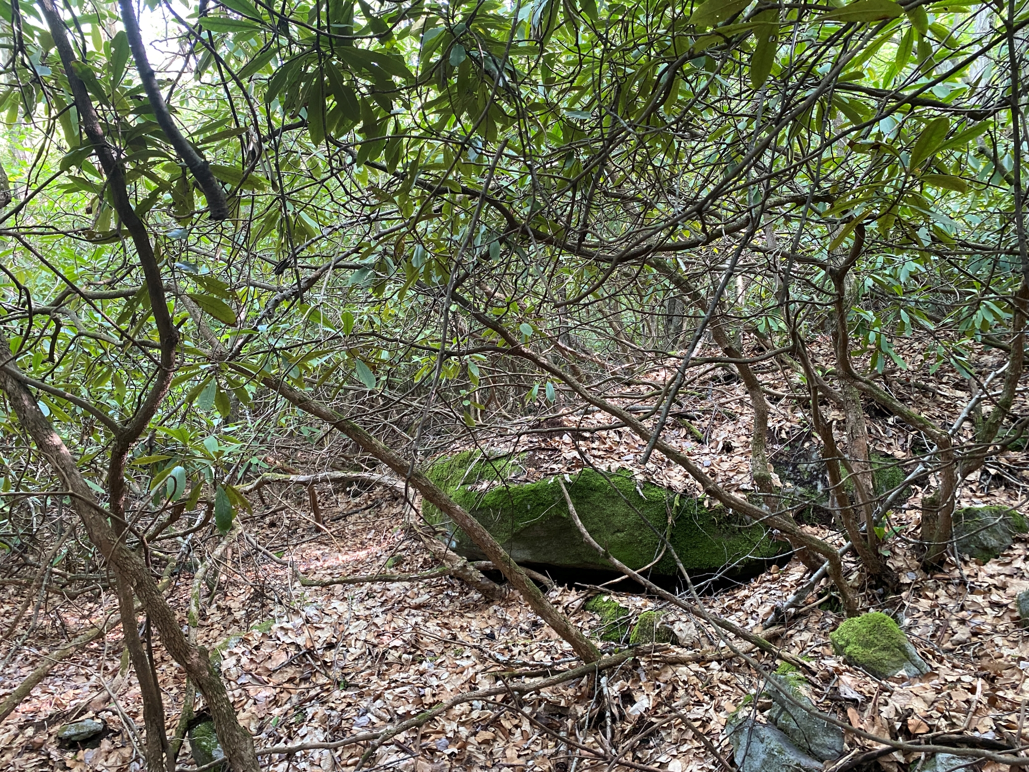Listing Image 32